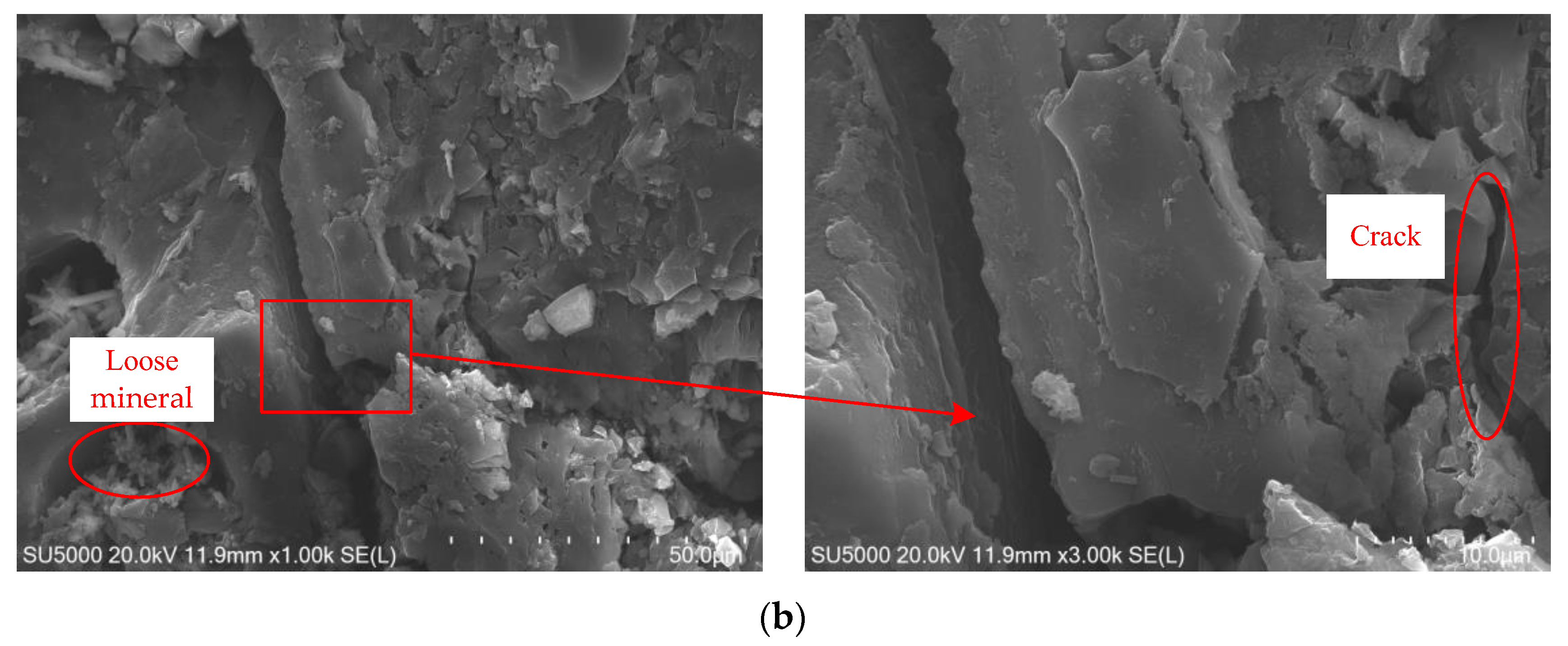 Sustainability 15 00410 g006b Sustainability 15 00410 g006b
