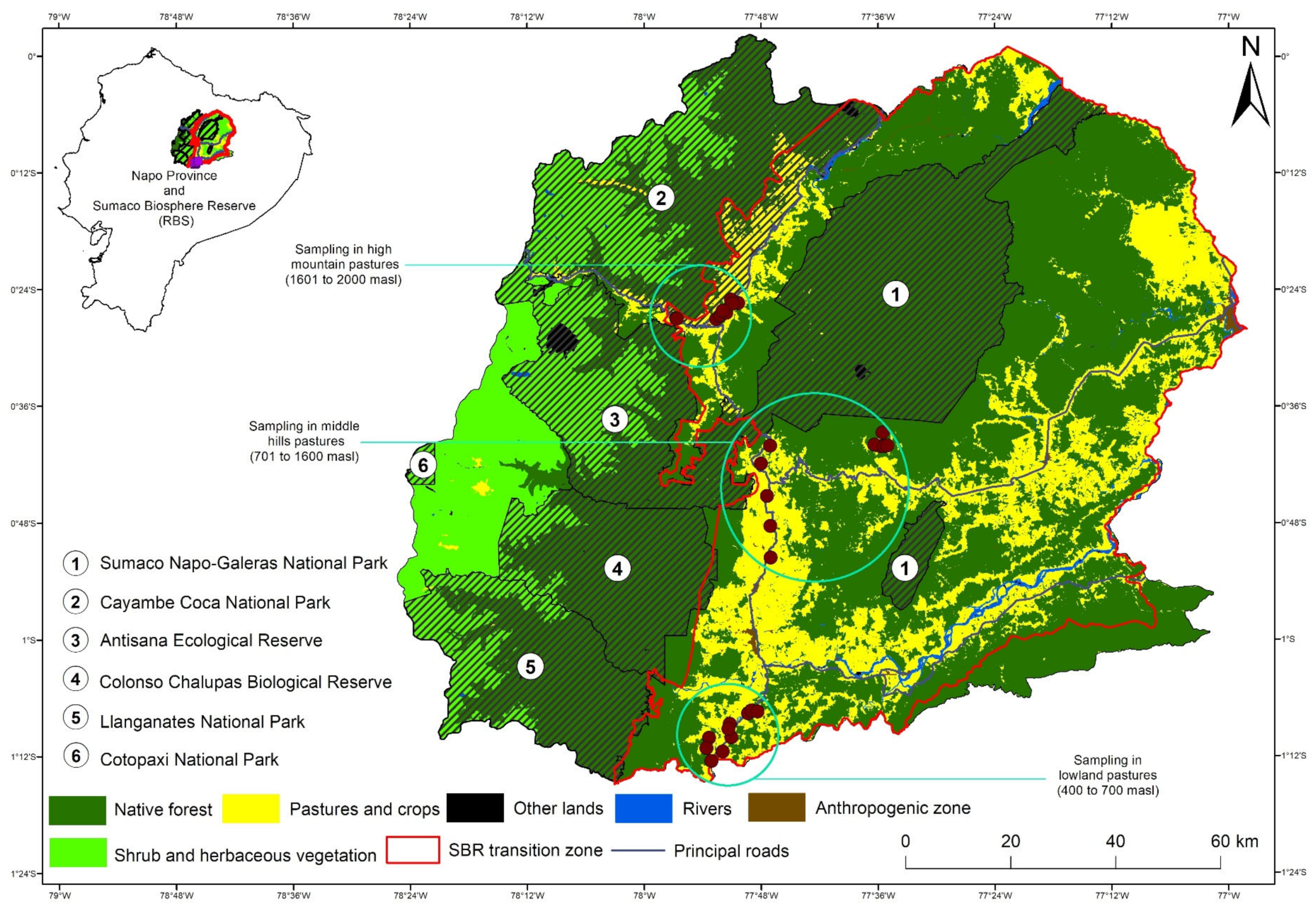 Sustainability 15 00449 g001 Sustainability 15 00449 g001