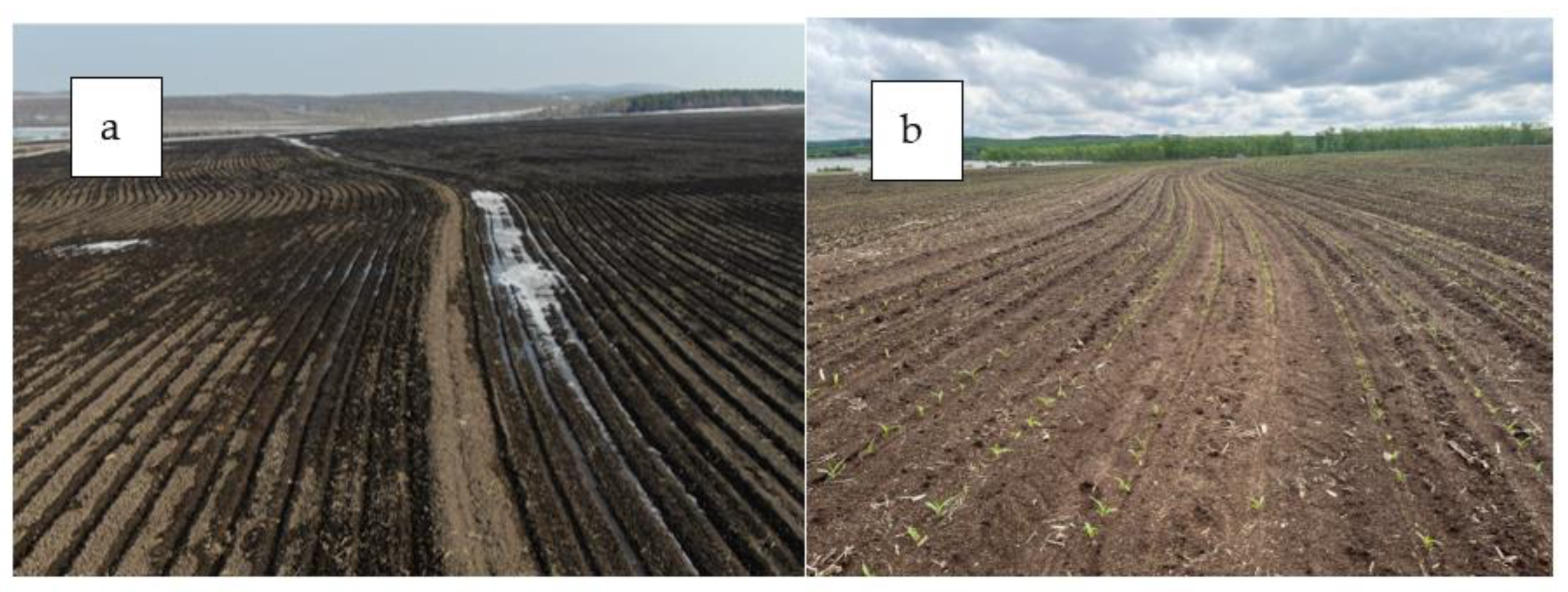 Sustainability 15 00469 g005 Sustainability 15 00469 g005