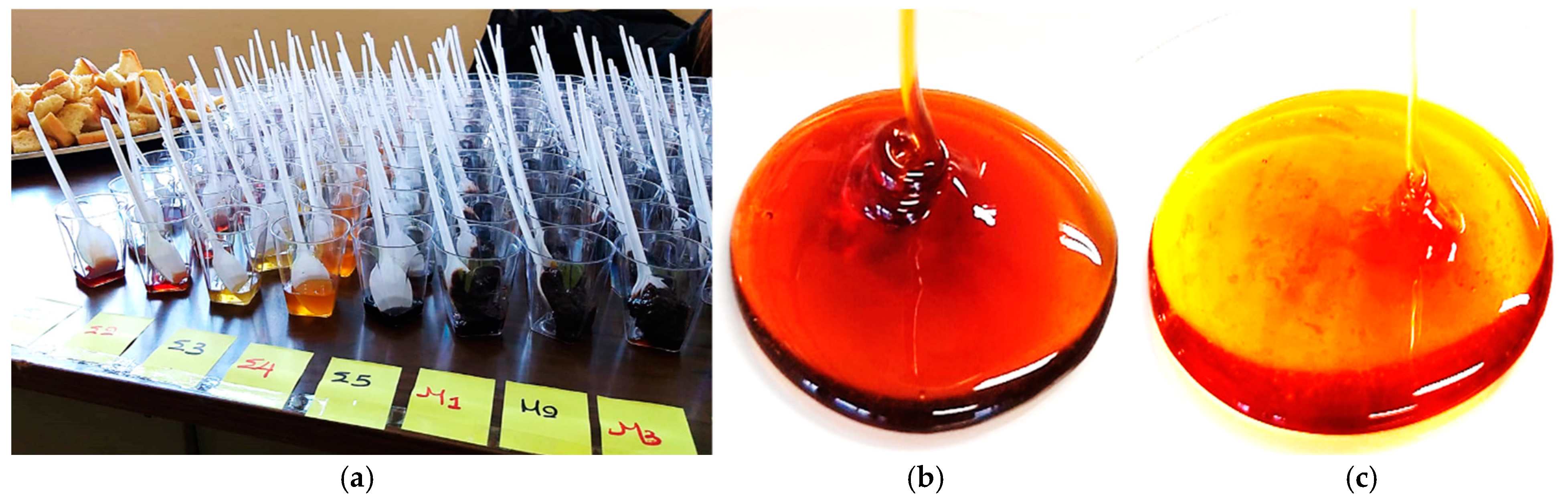 Sustainability 15 00495 g002