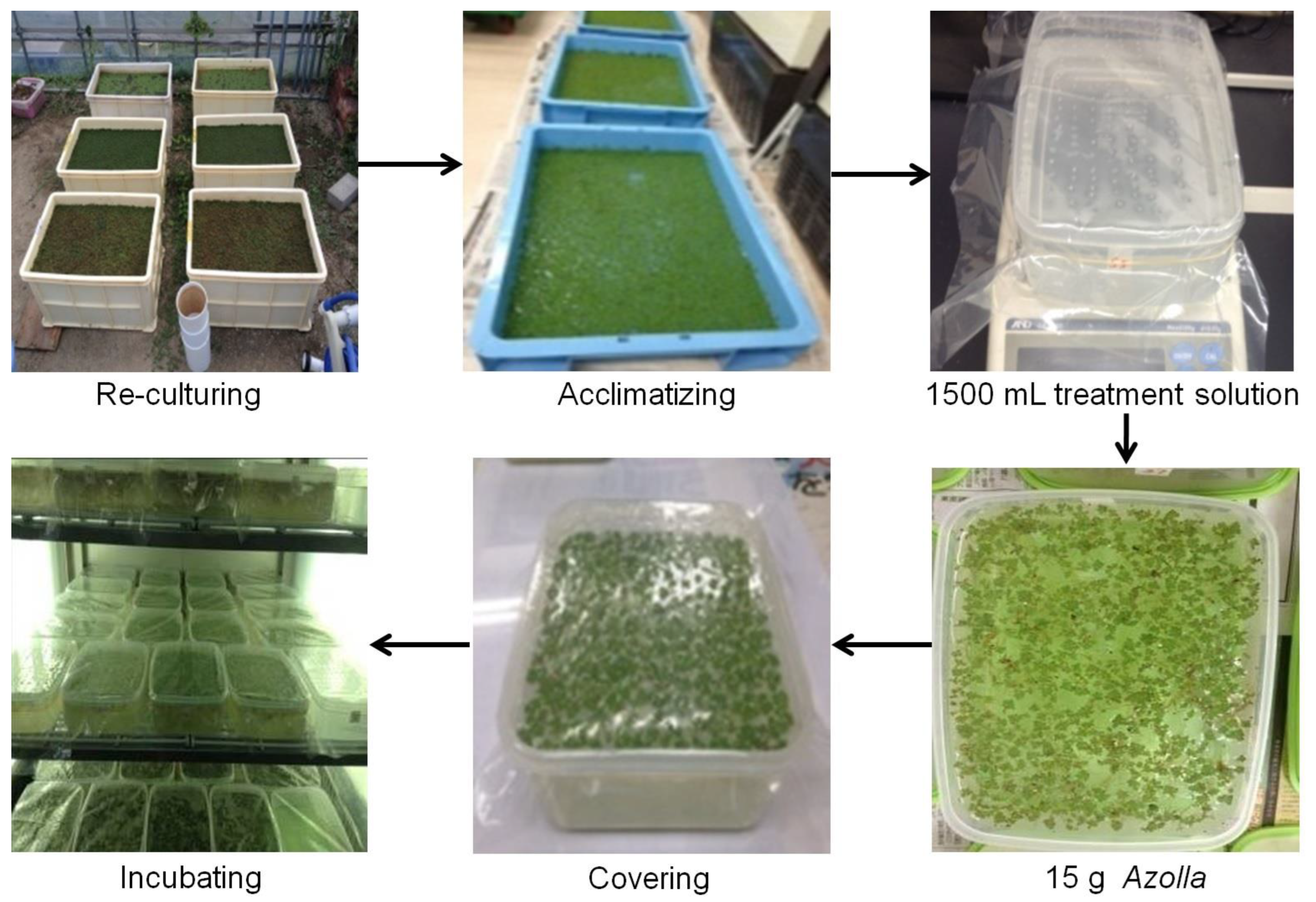 Sustainability 15 00497 g001 Sustainability 15 00497 g001