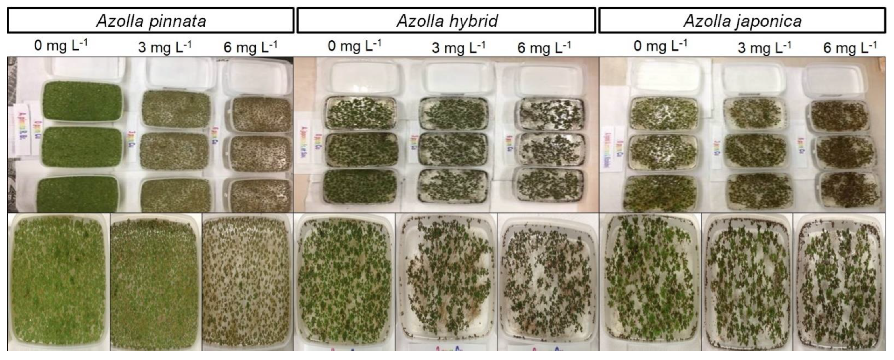 Sustainability 15 00497 g007 Sustainability 15 00497 g007