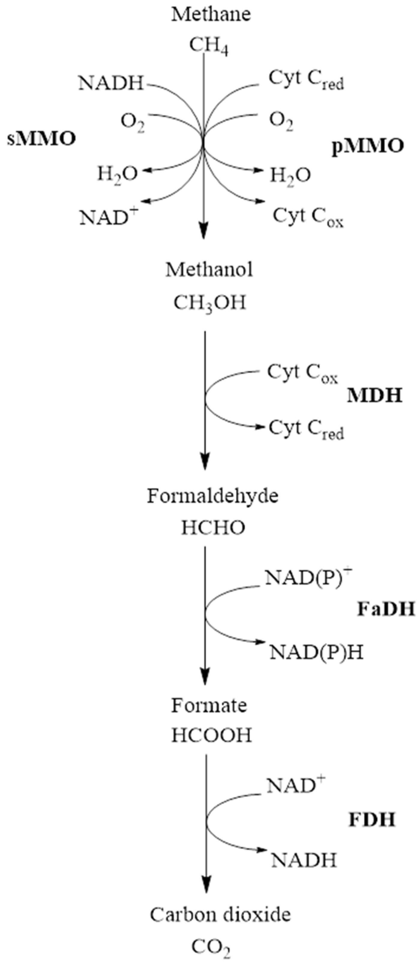 Sustainability 15 00505 g005 Sustainability 15 00505 g005