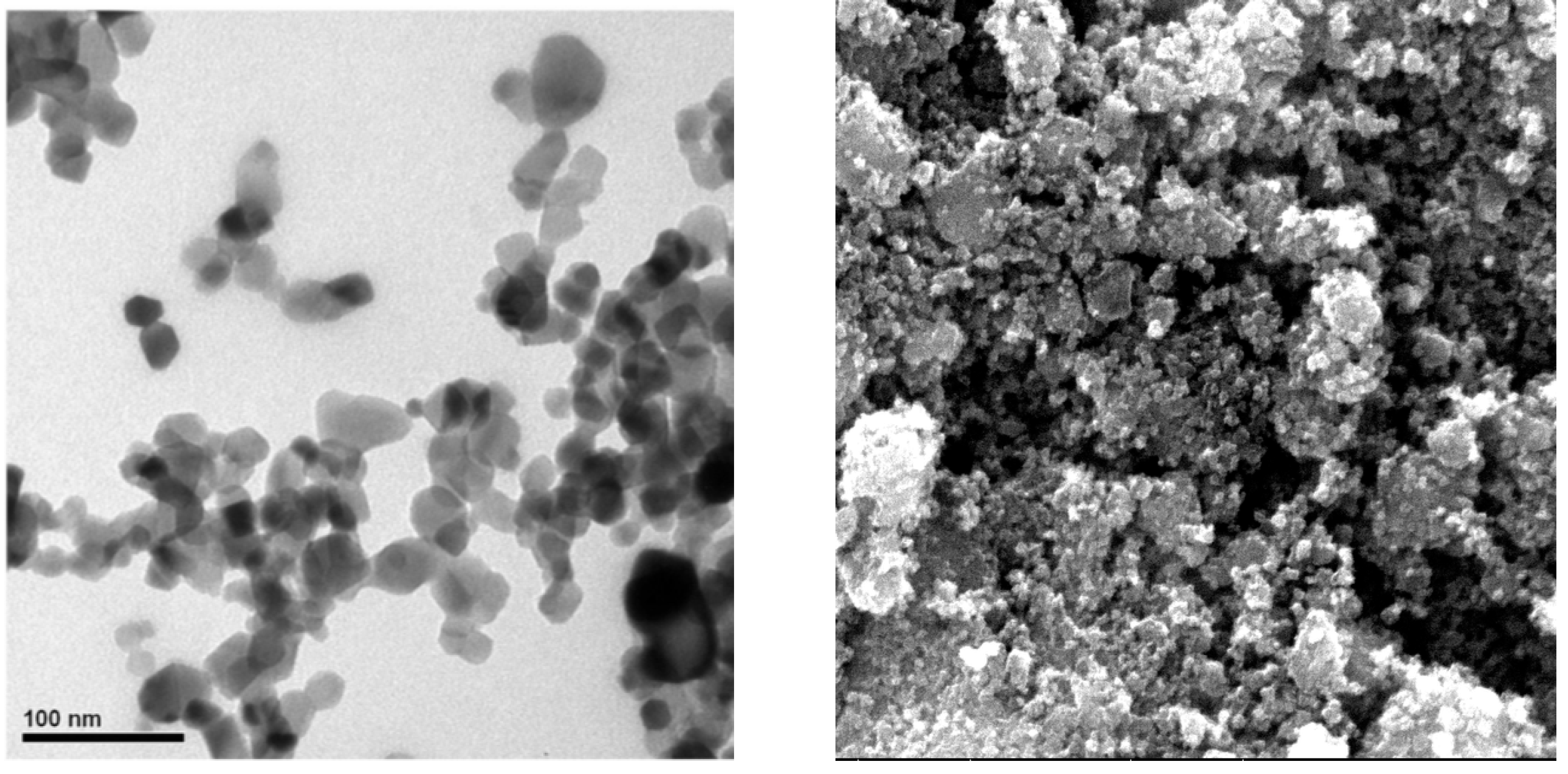 Sustainability 15 00516 g002 Sustainability 15 00516 g002