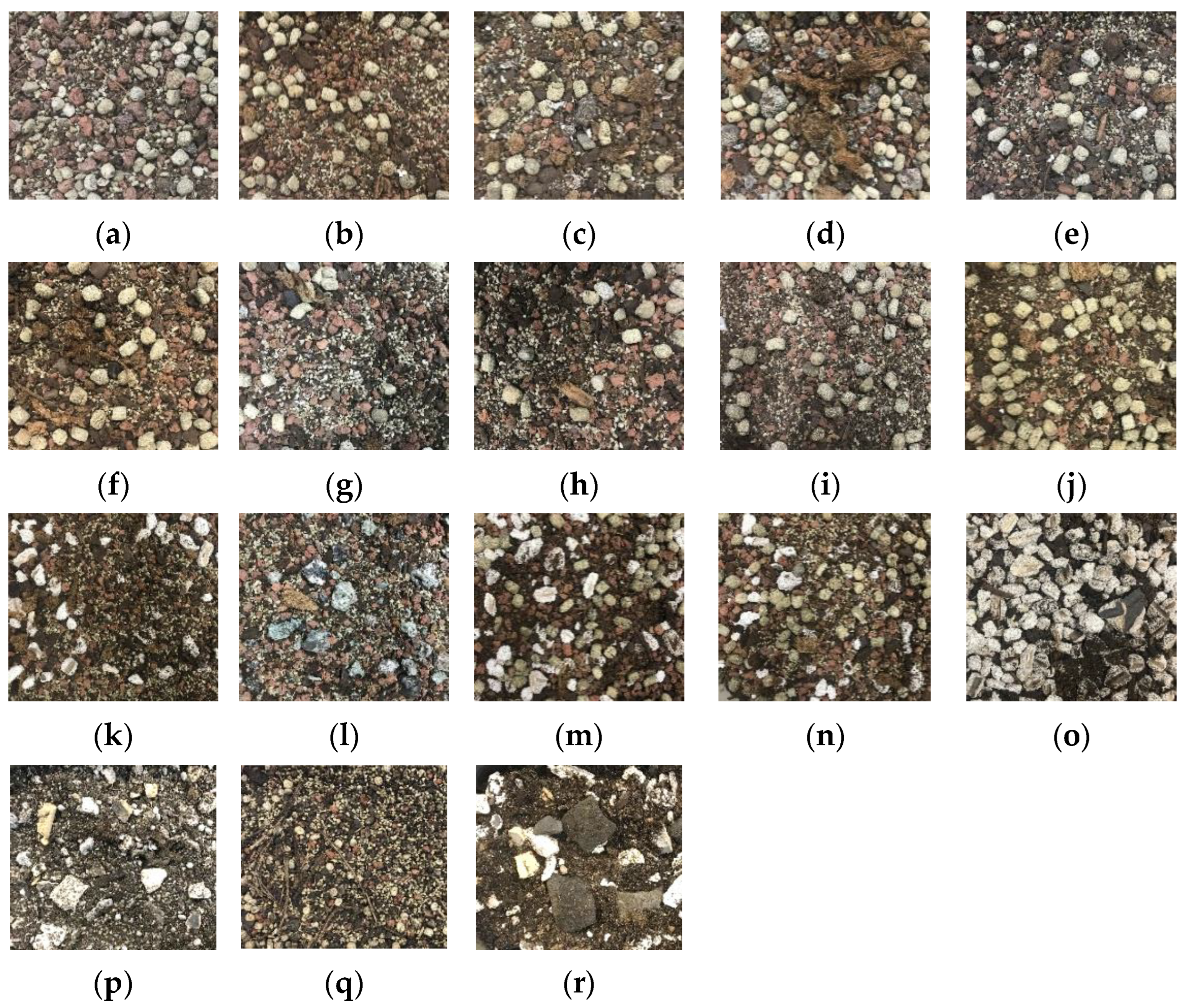 Sustainability 15 00575 g001 Sustainability 15 00575 g001