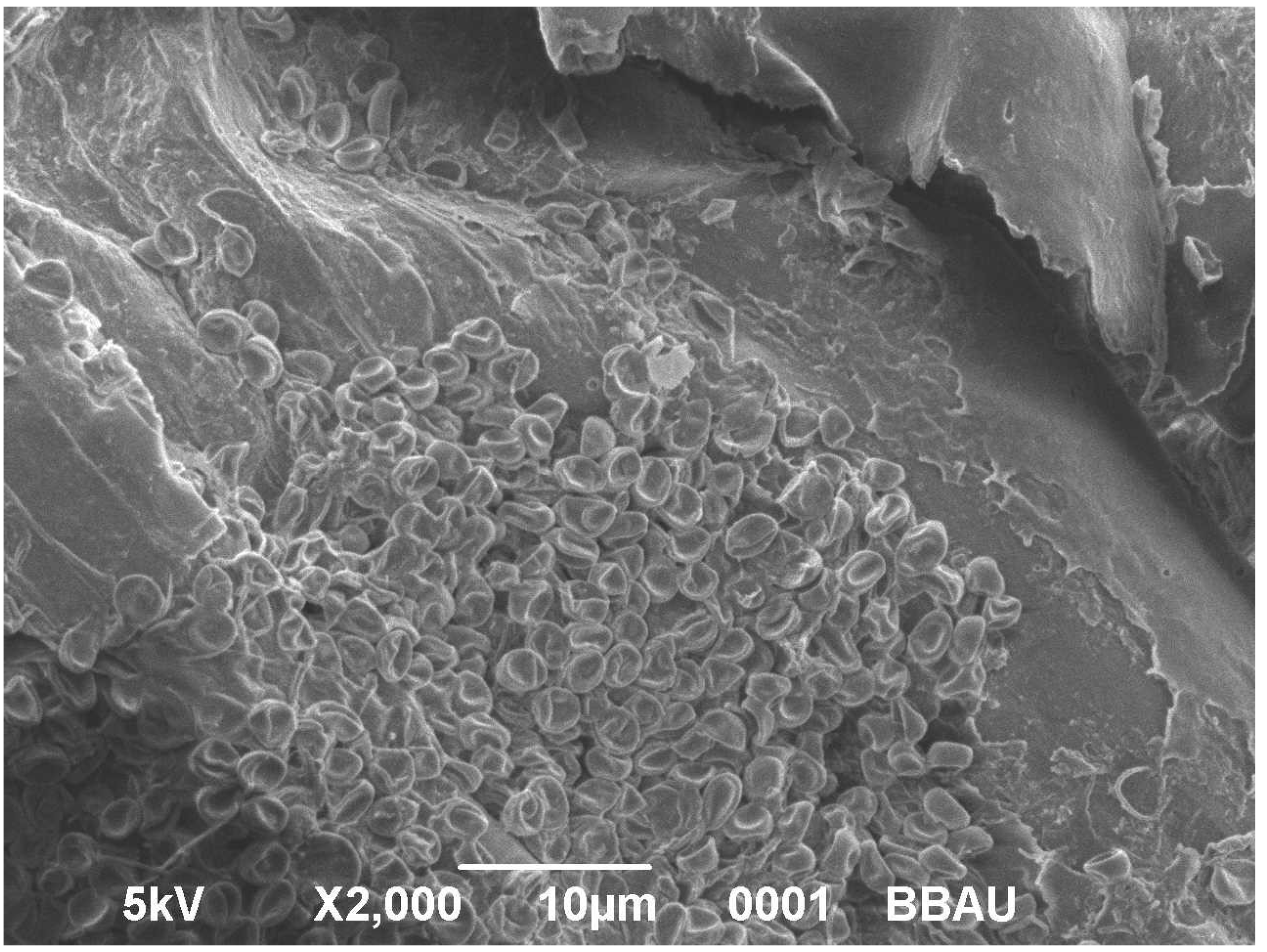 Sustainability 15 00593 g001 Sustainability 15 00593 g001