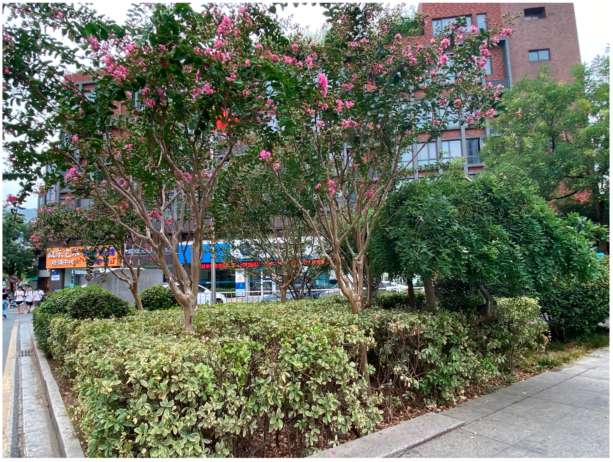 Sustainability 15 00607 g005