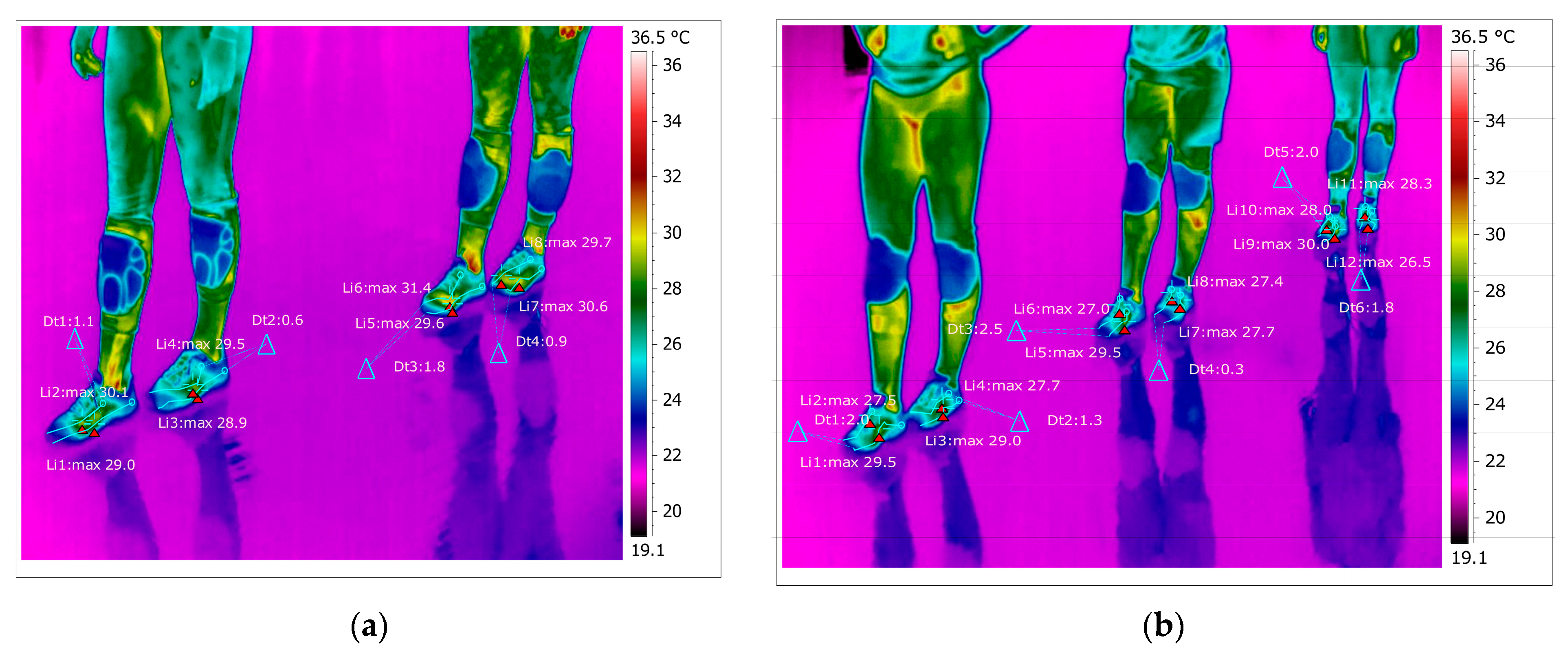 Sustainability 15 00652 g021