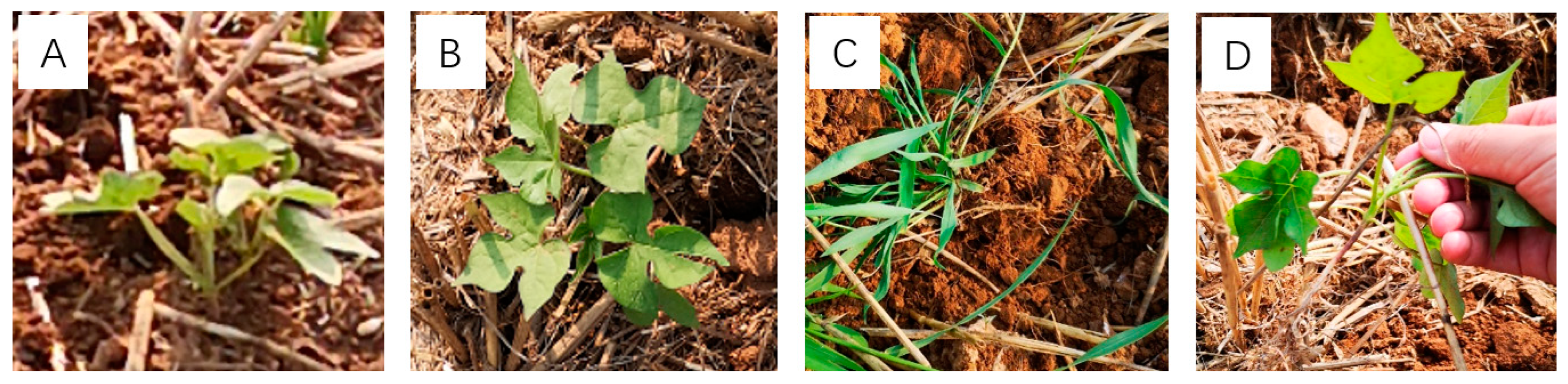 Sustainability 15 00665 g006 Sustainability 15 00665 g006