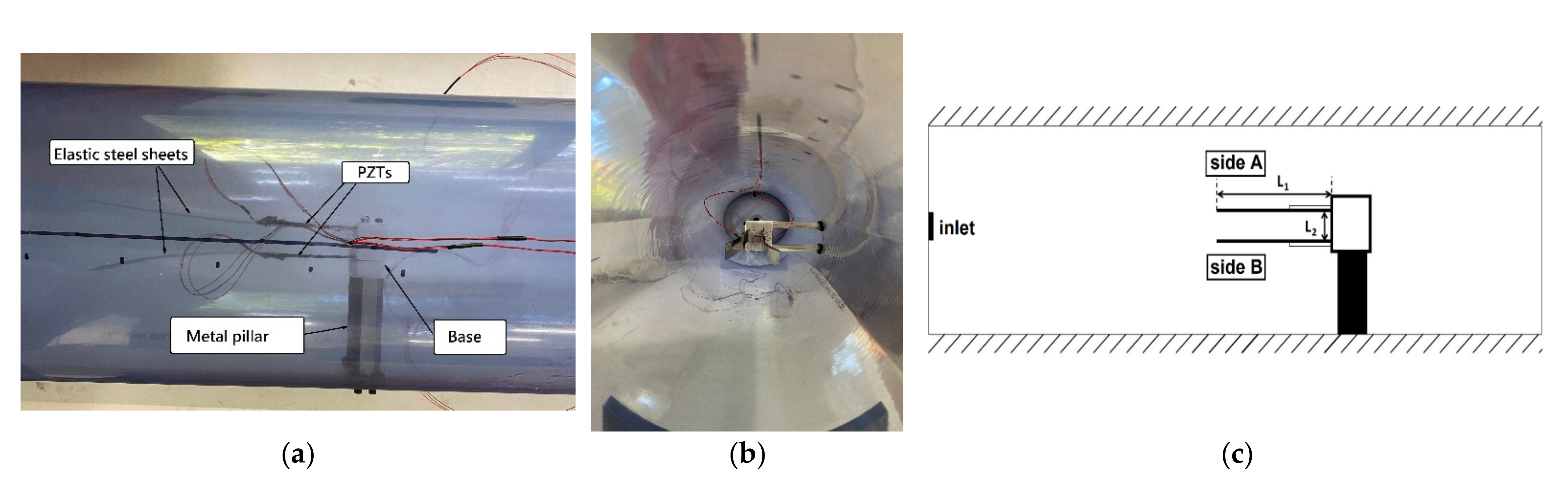Sustainability 15 00704 g001