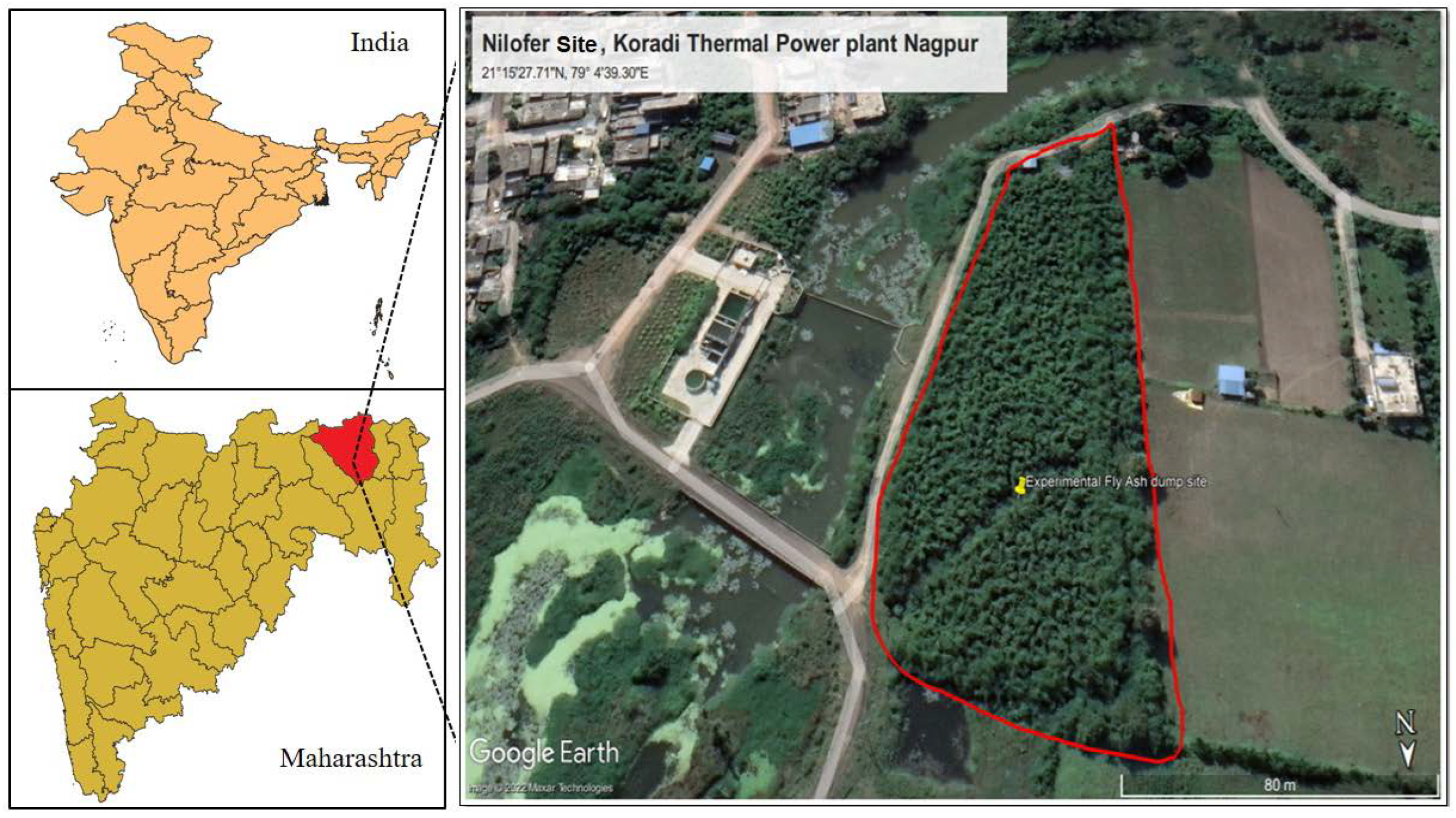 Sustainability 15 00755 g001