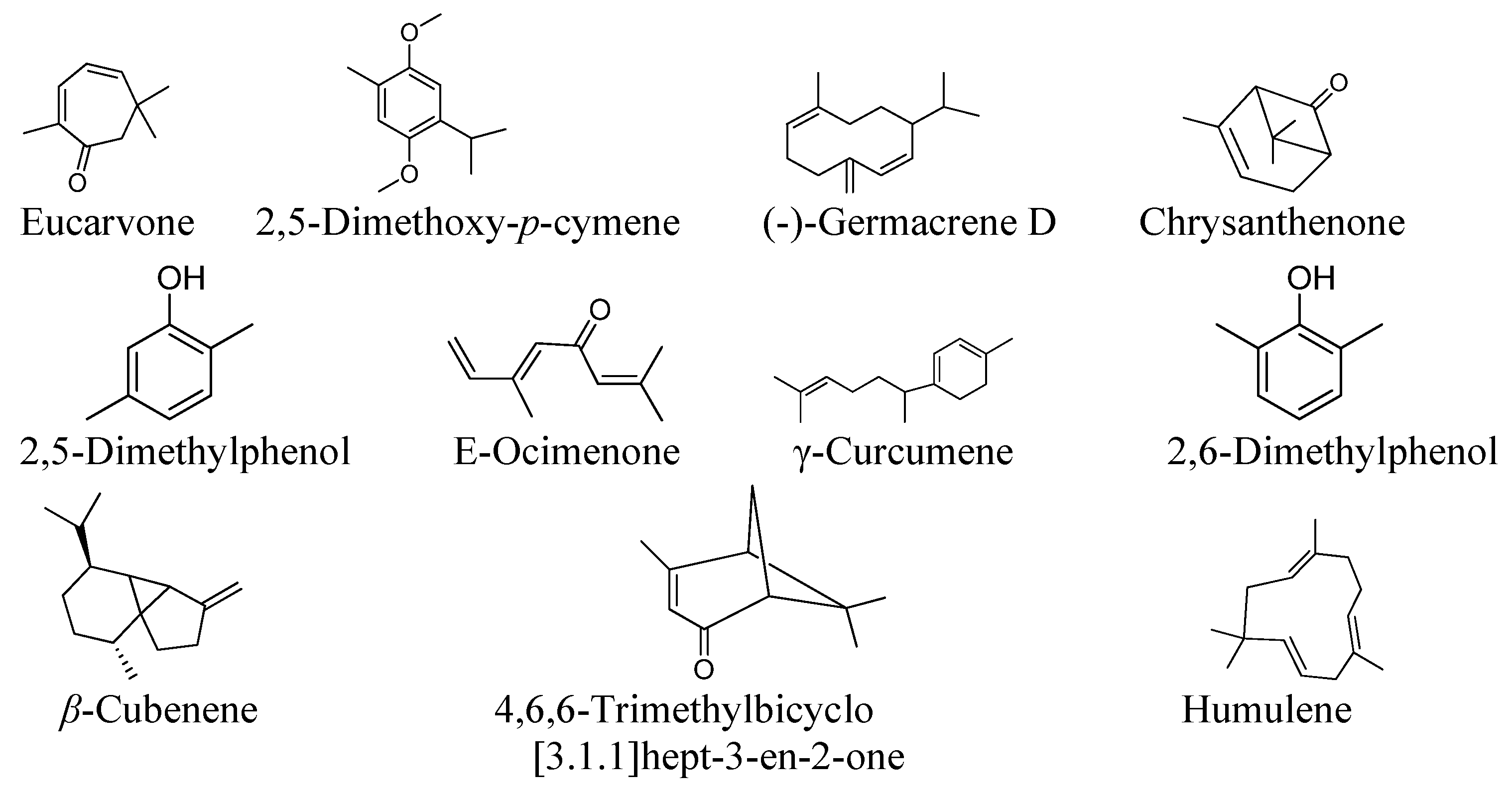 Sustainability 15 00797 g001