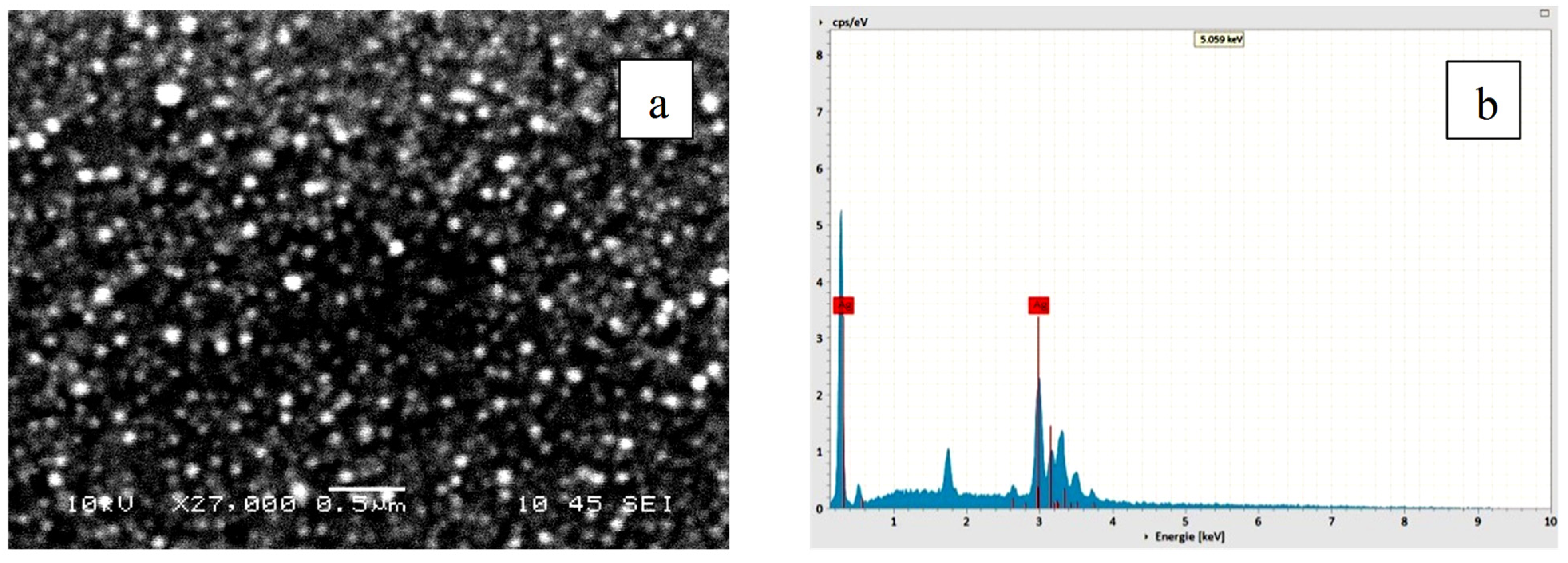 Sustainability 15 00797 g008