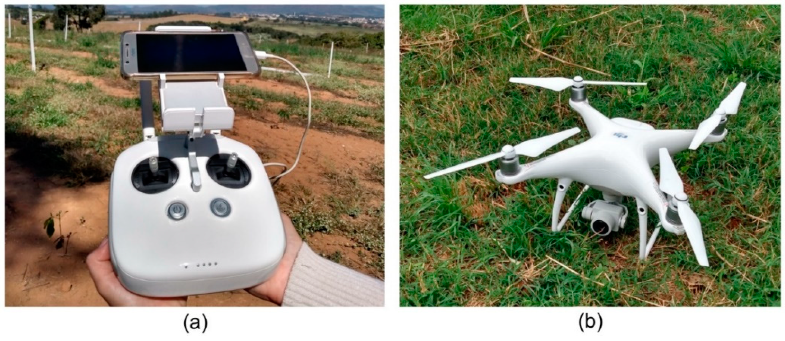 Sustainability 15 00820 g001