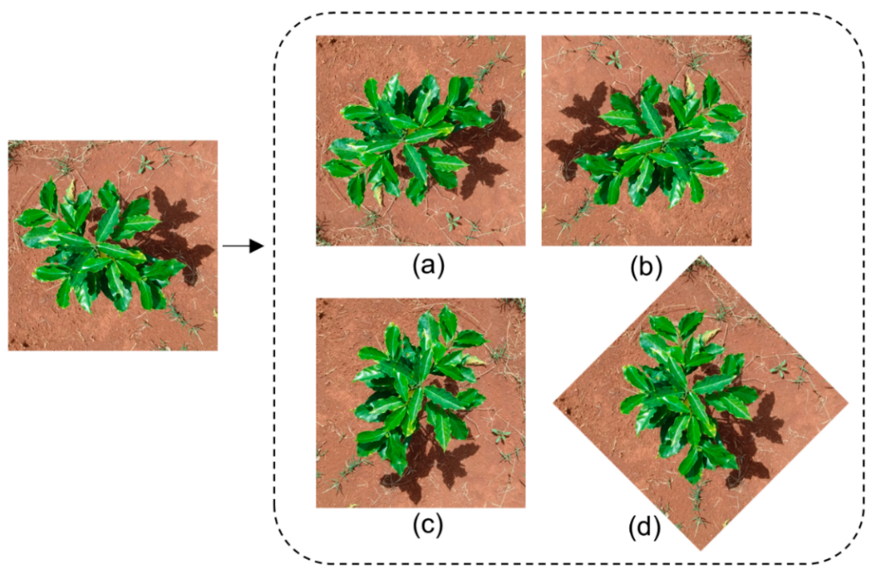 Sustainability 15 00820 g003