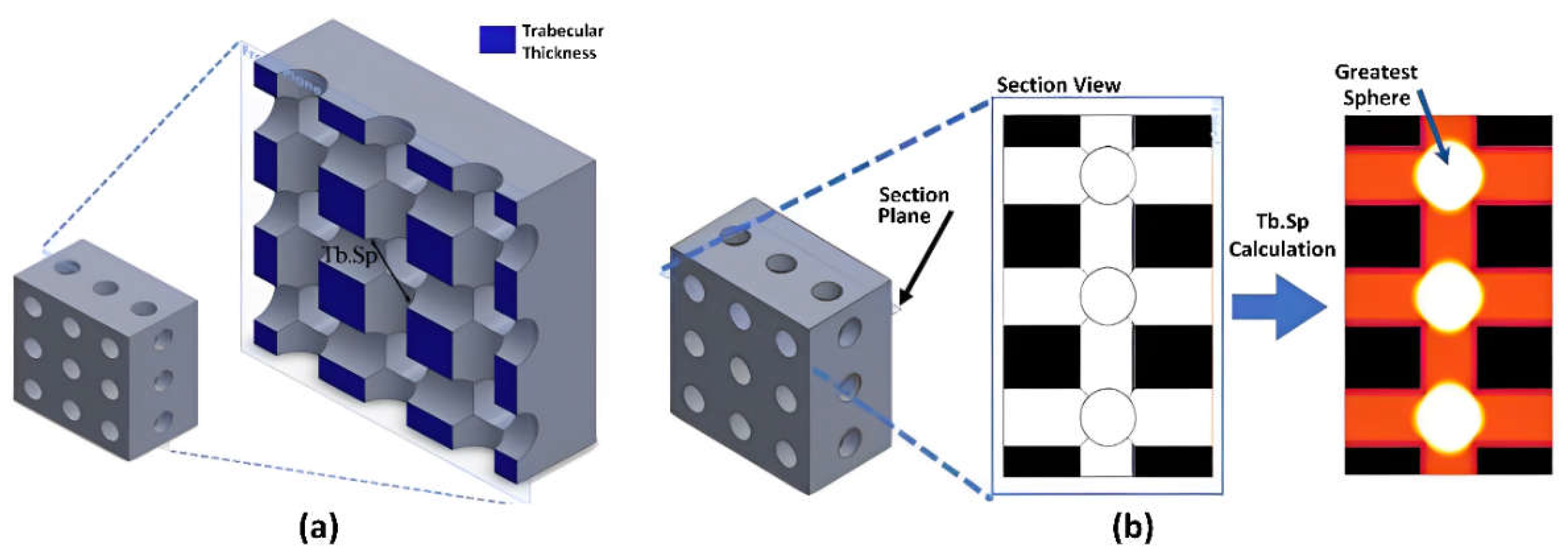 Sustainability 15 00823 g001