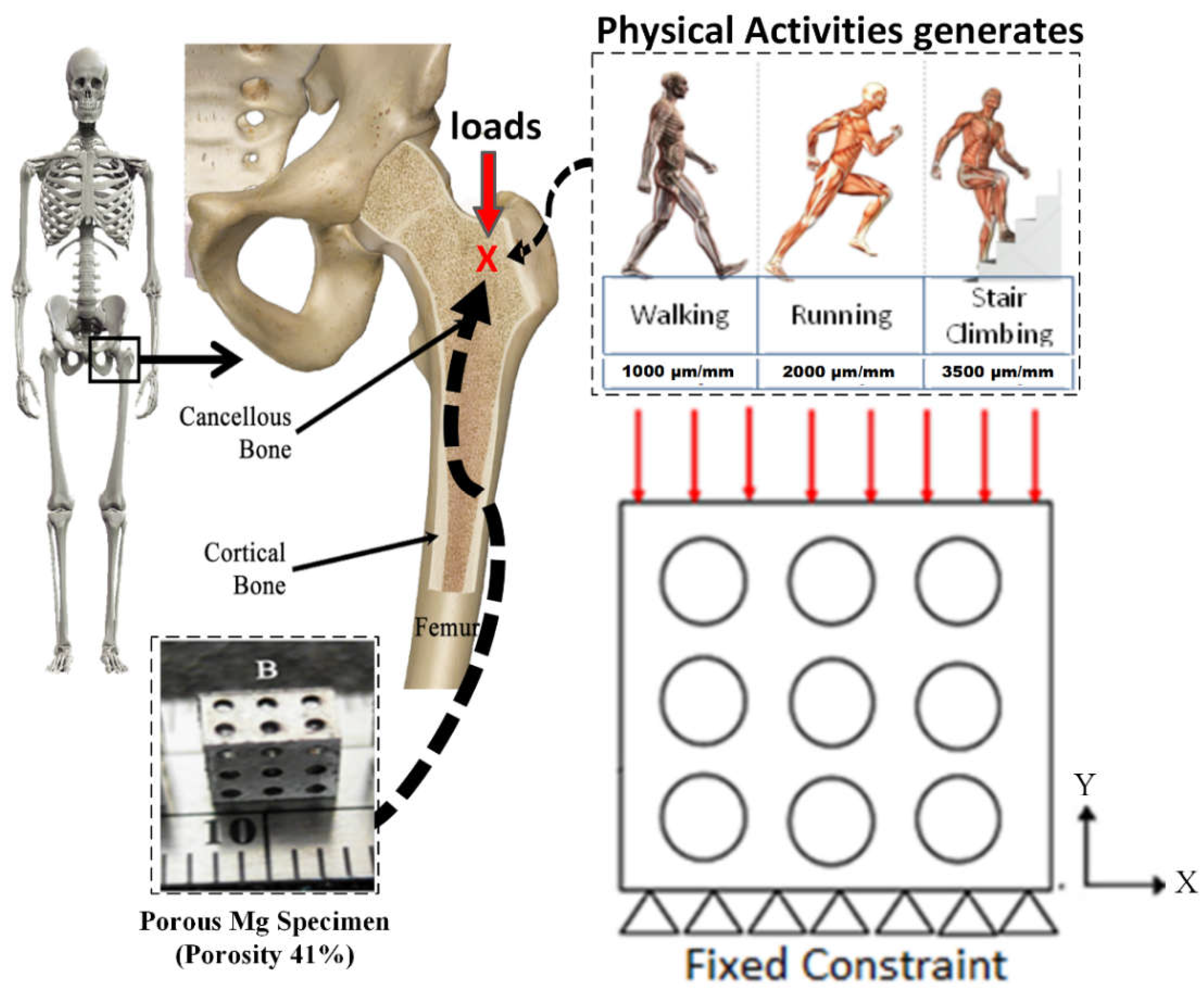 Sustainability 15 00823 g003