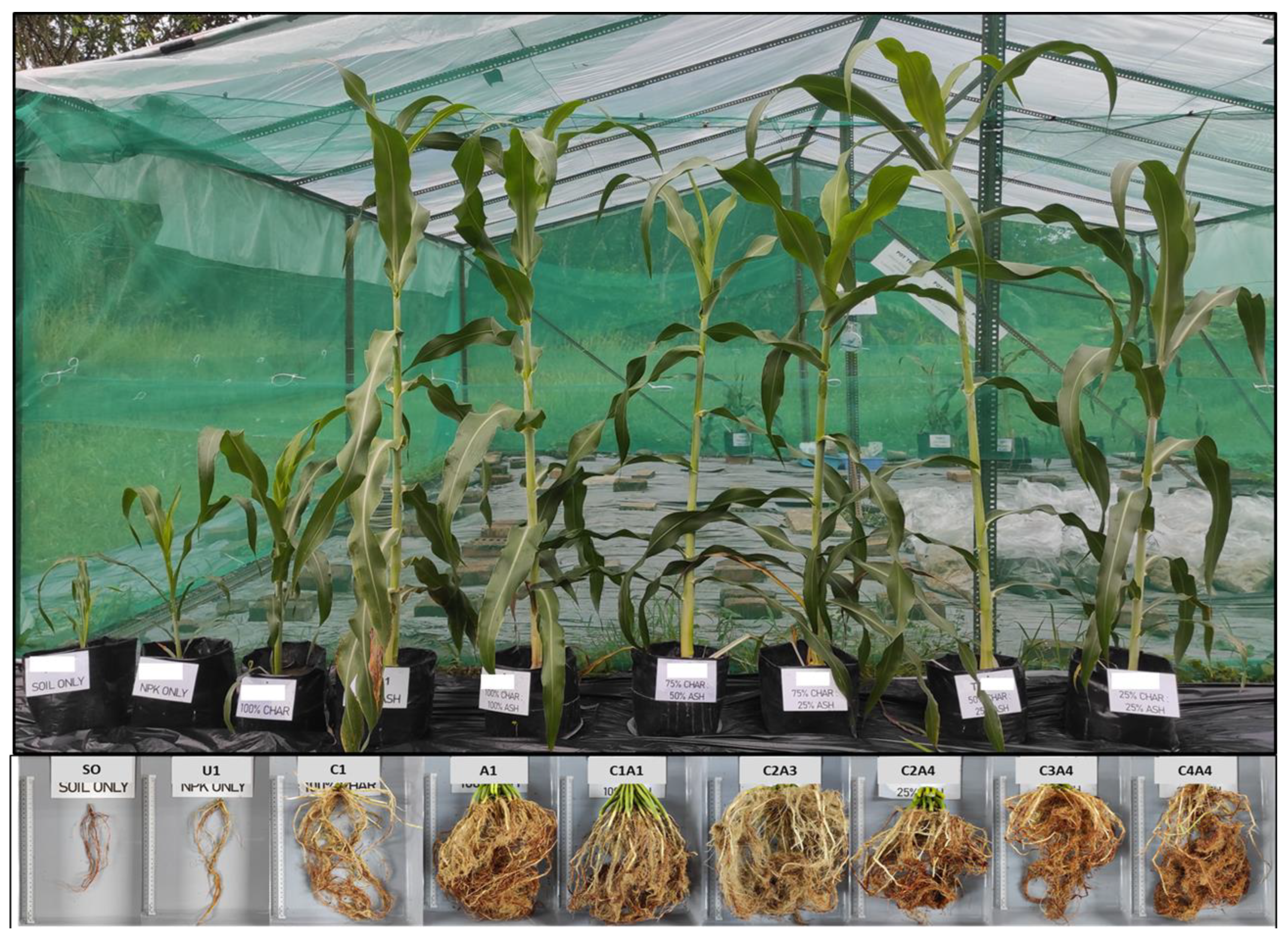 Sustainability 15 00827 g002 Sustainability 15 00827 g002