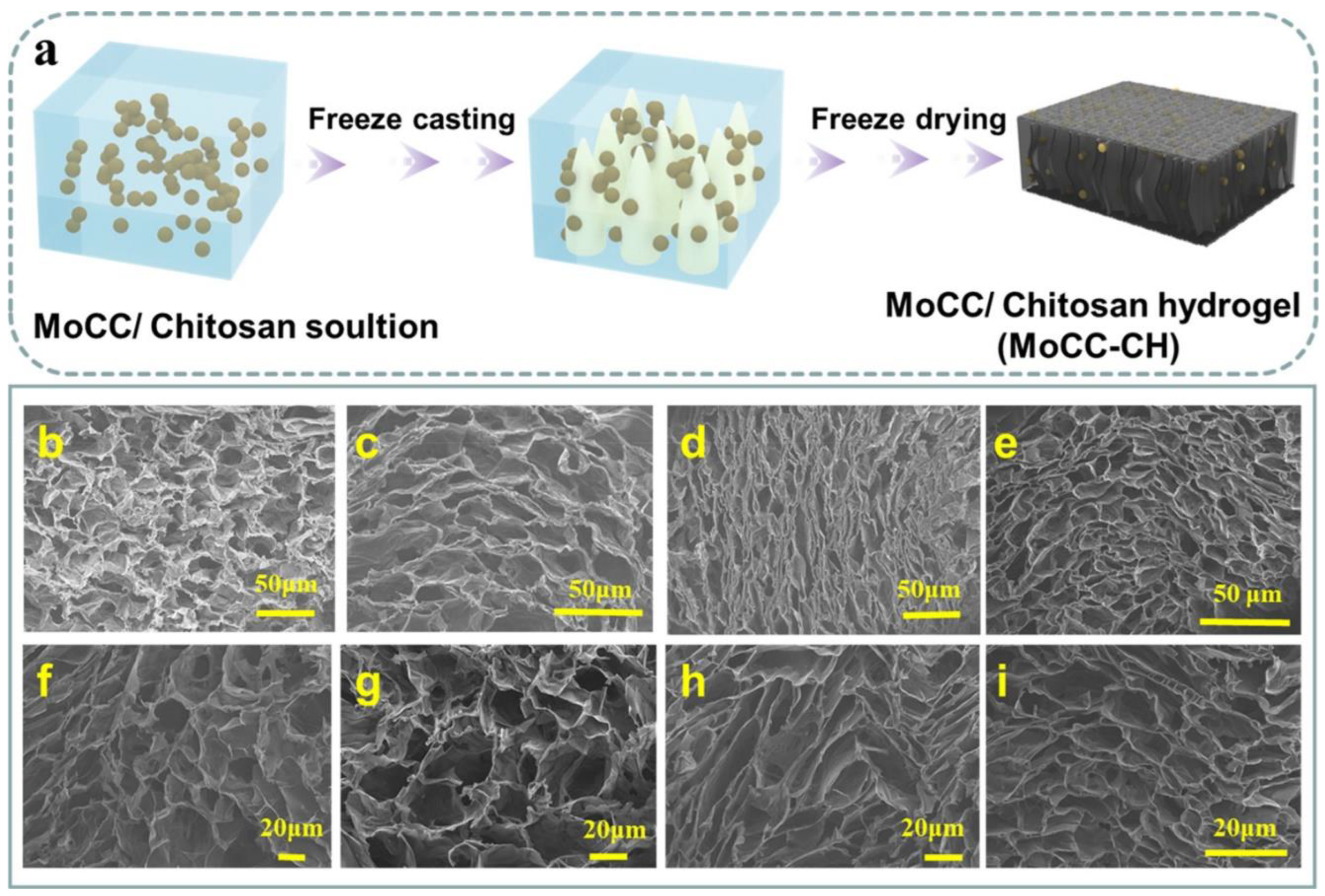 Sustainability 15 00848 g003