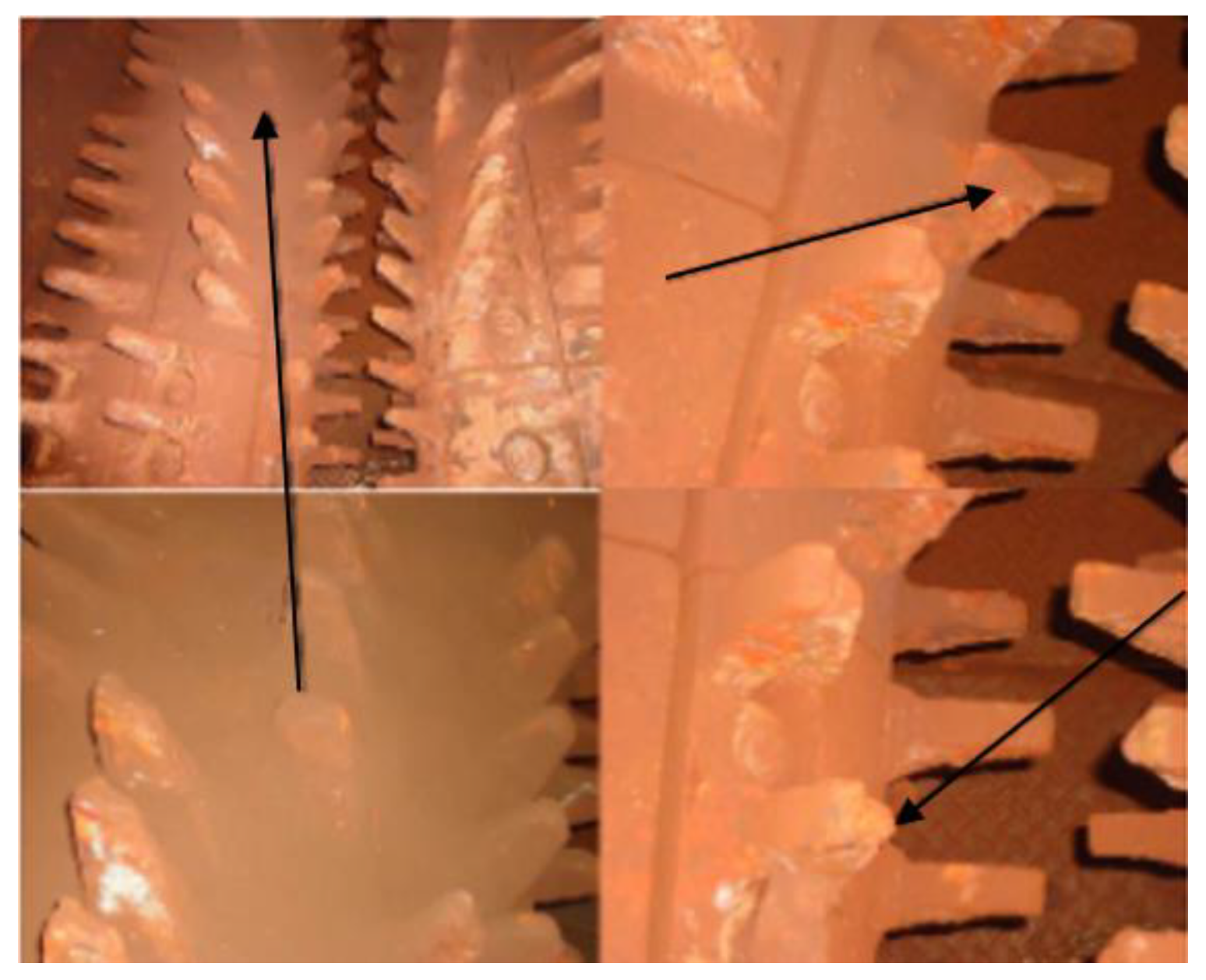 Sustainability 15 00850 g004