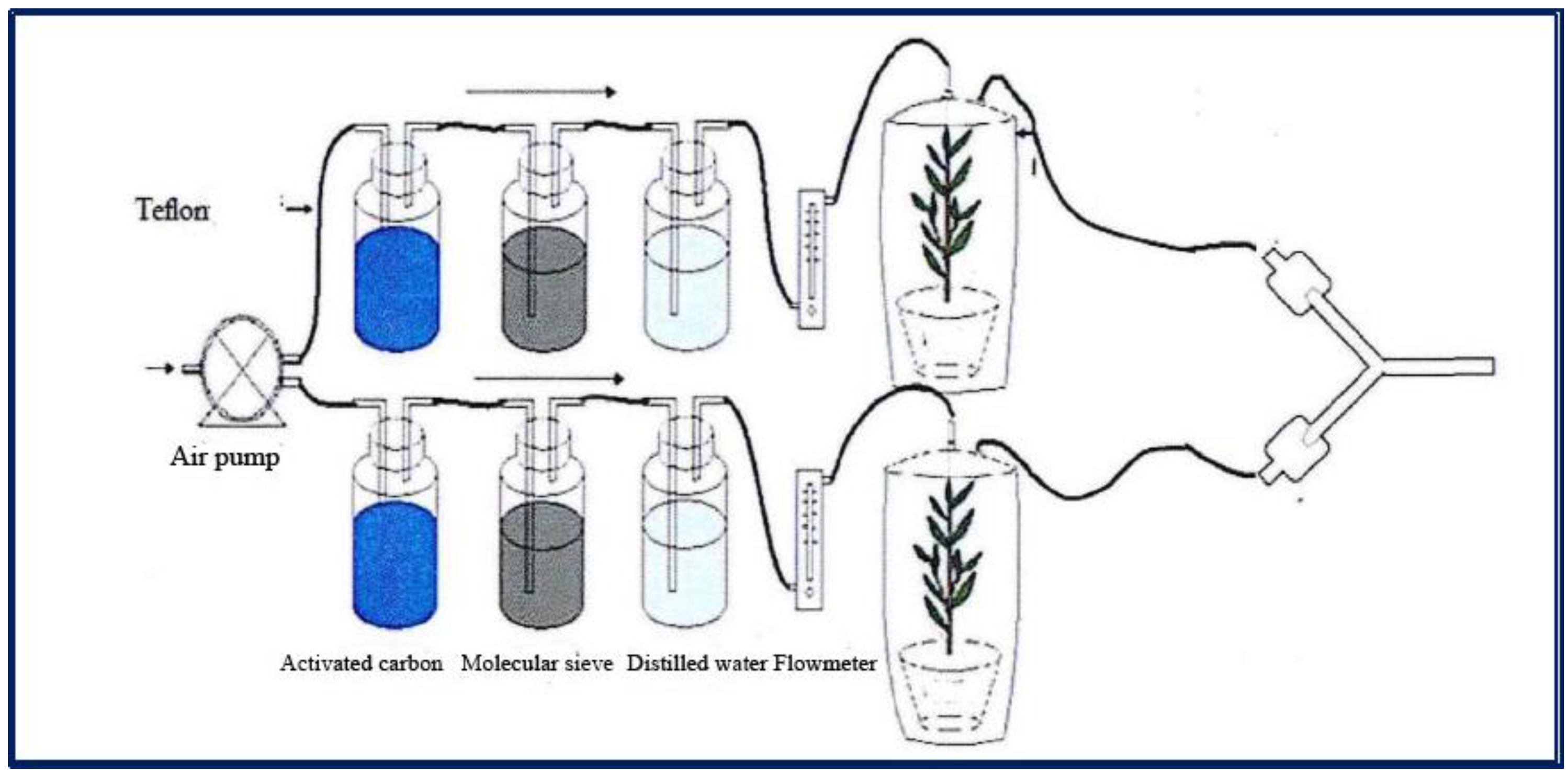 Sustainability 15 00869 g002