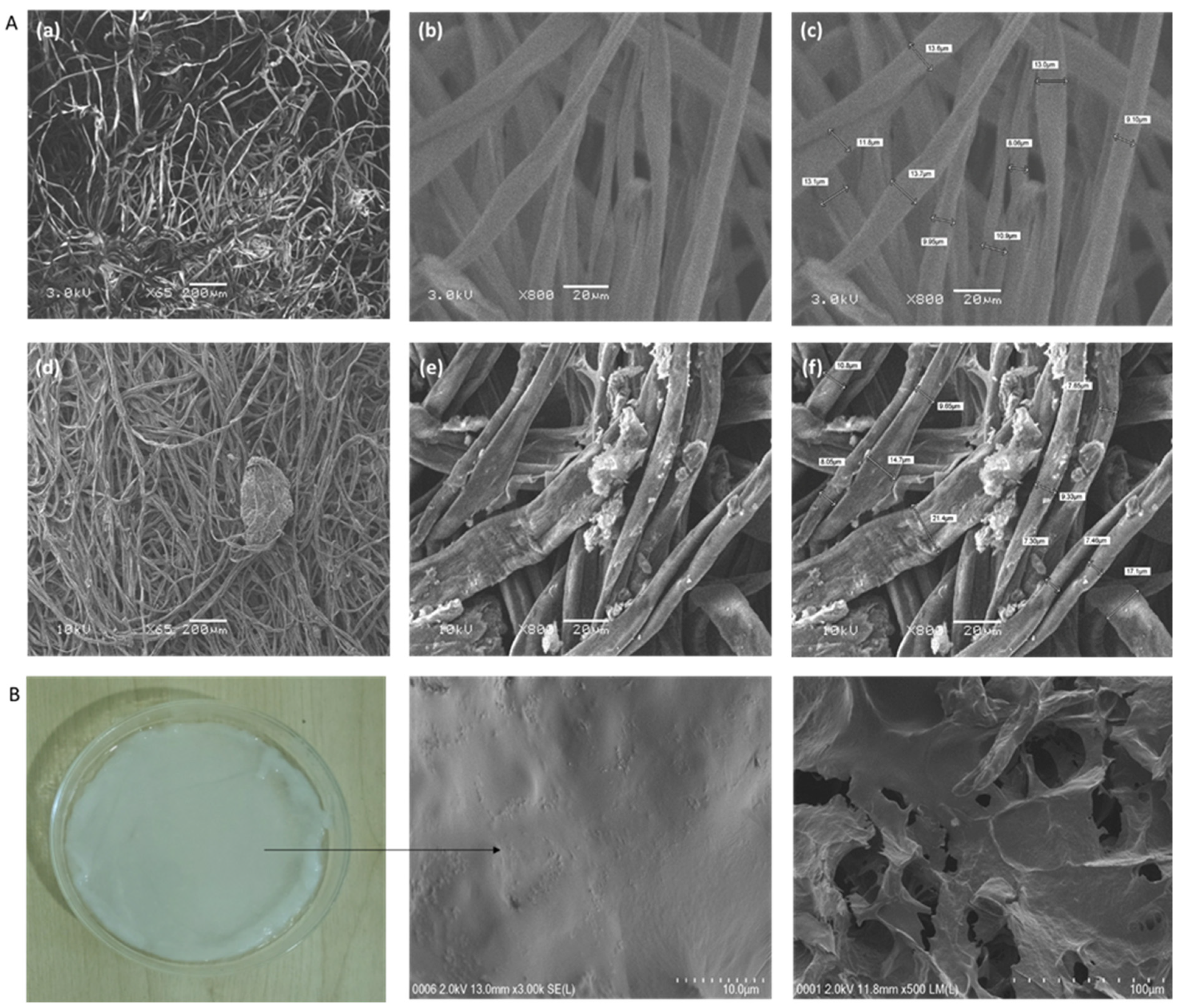 Sustainability 15 00889 g005