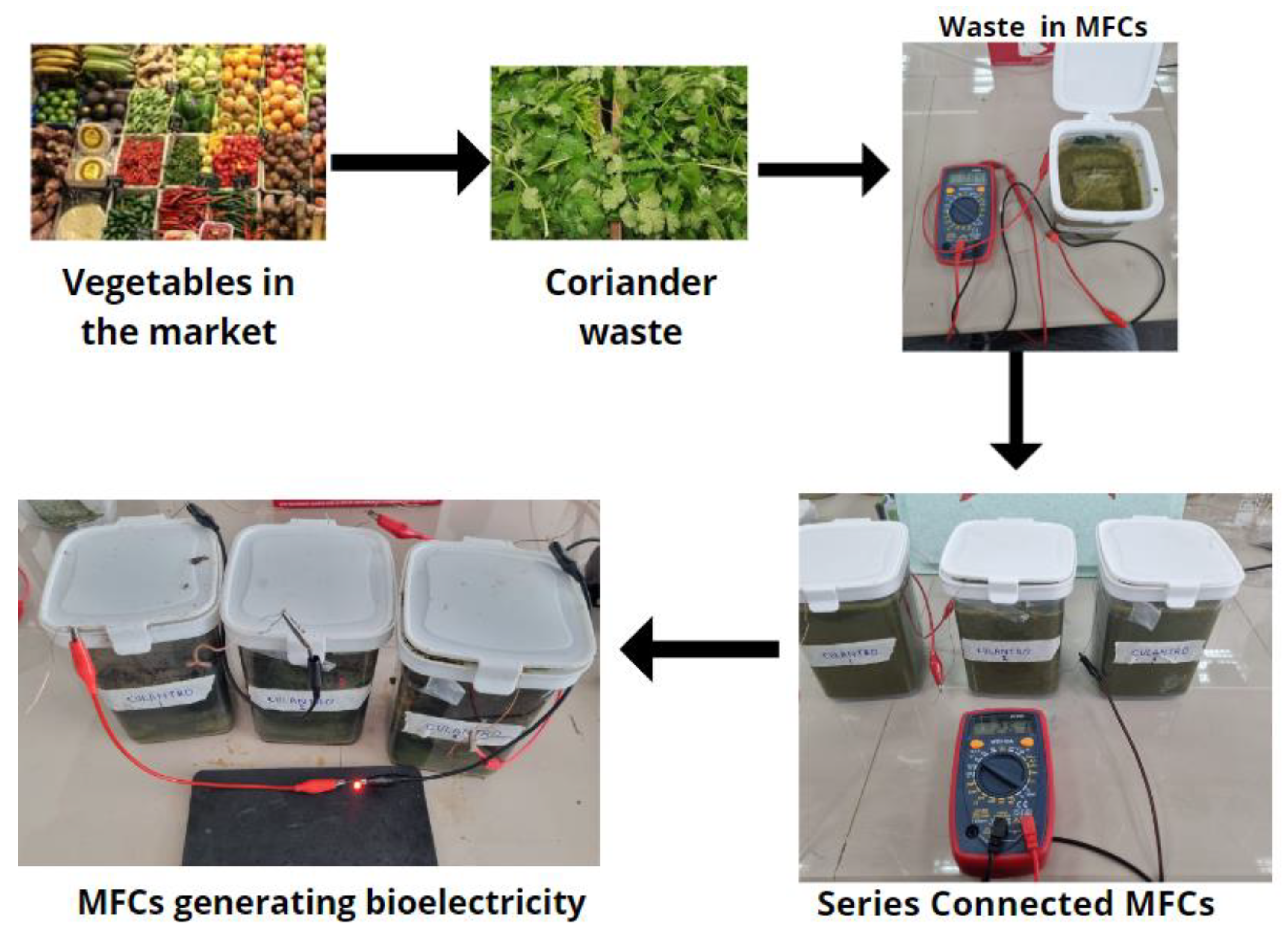 Sustainability 15 00896 g006