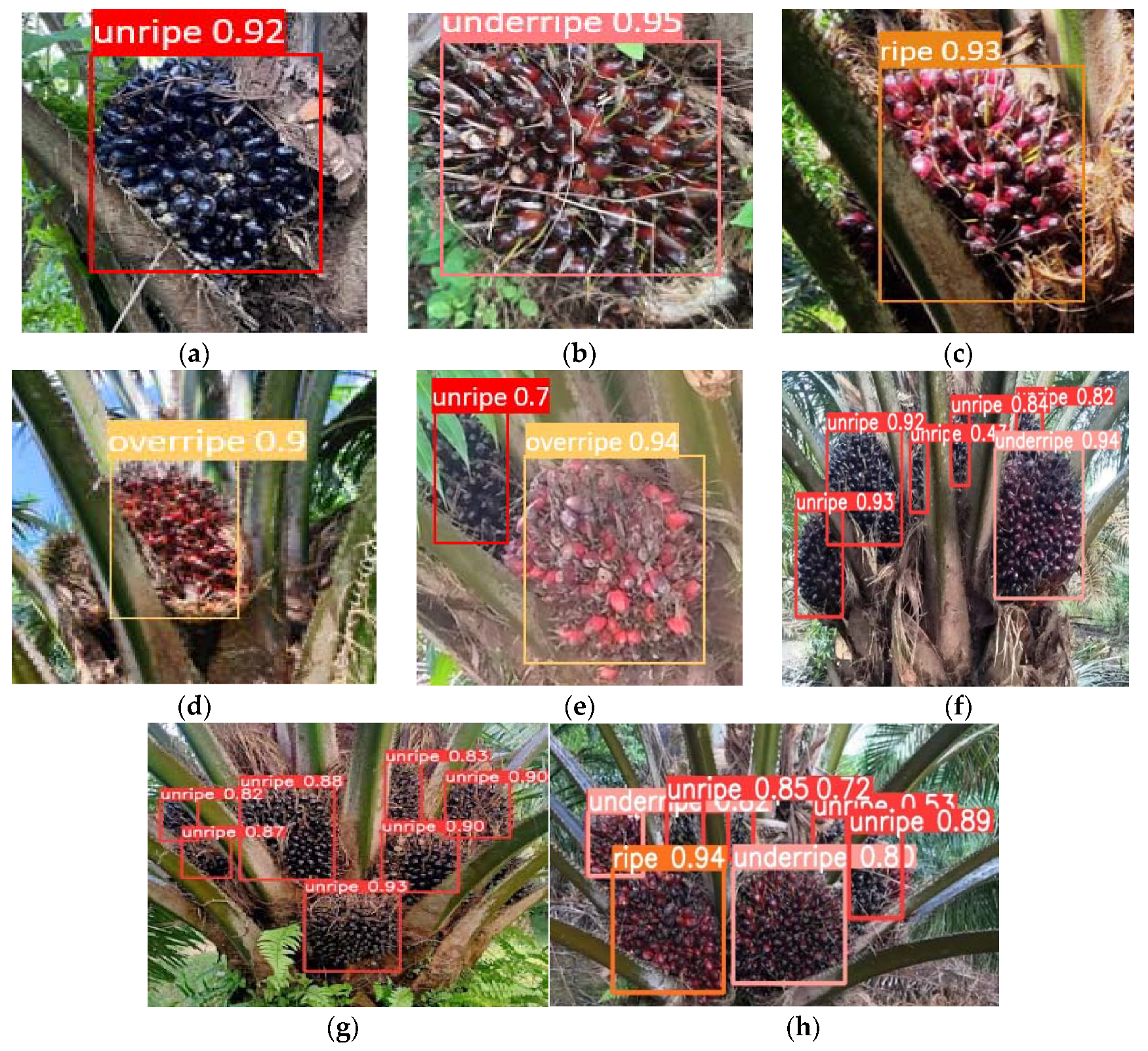 Sustainability 15 00901 g007 Sustainability 15 00901 g007