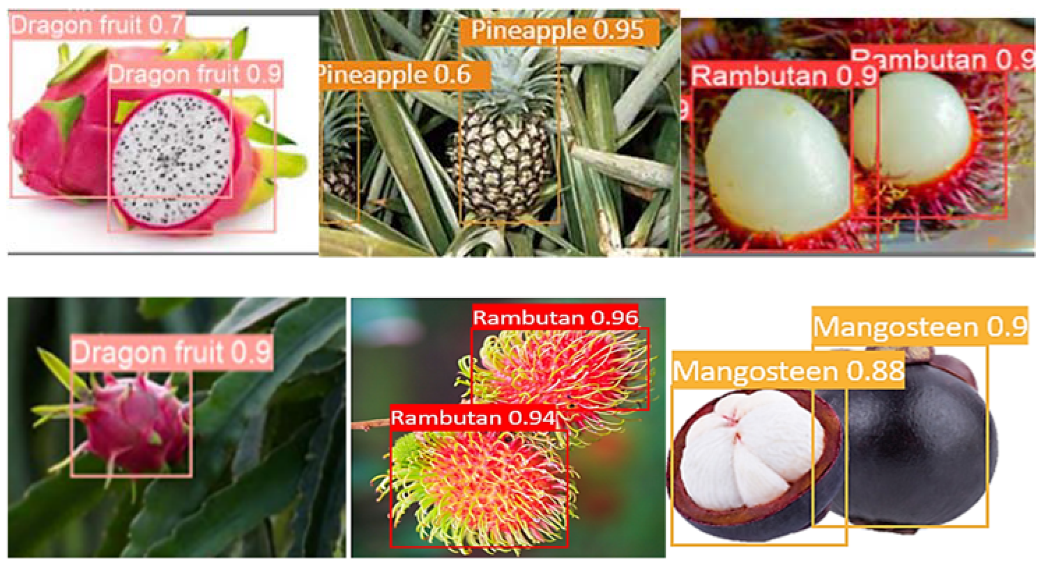 Enhancing Image Annotation Technique of Fruit Classification Using a ...