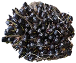 Sustainability 15 00901 i001 Sustainability 15 00901 i001