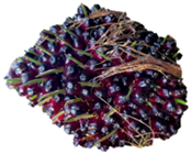 Sustainability 15 00901 i002 Sustainability 15 00901 i002