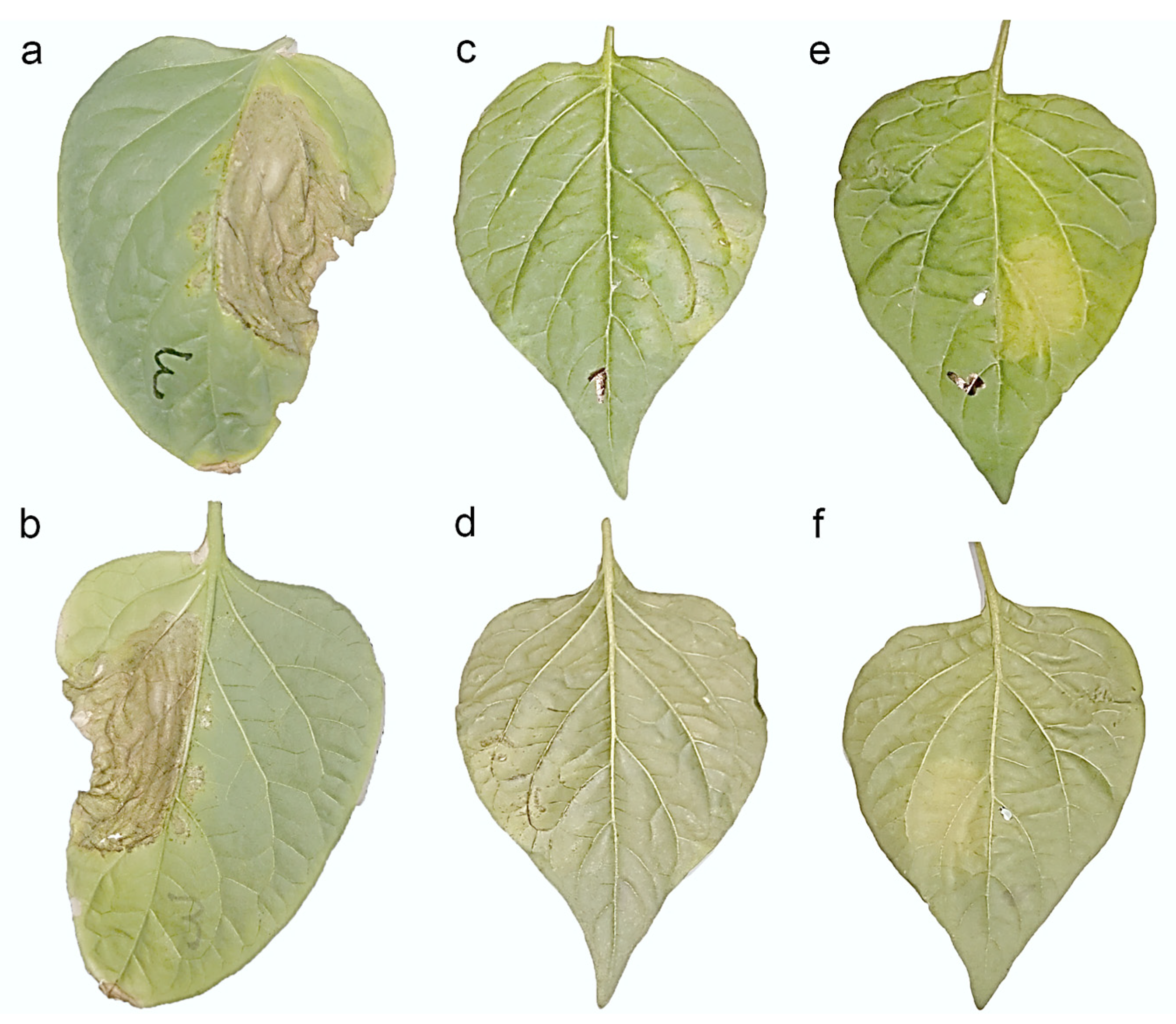 Sustainability 15 00908 g001 Sustainability 15 00908 g001