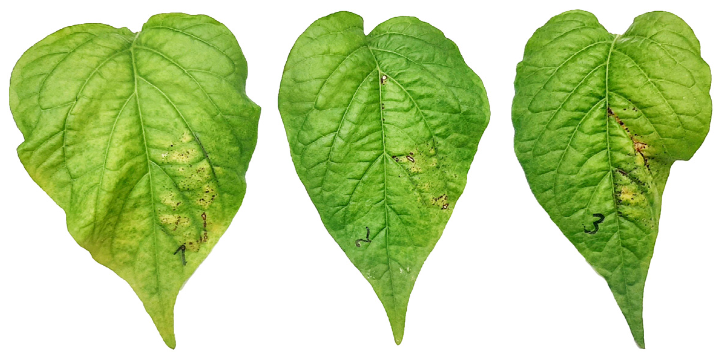 Sustainability 15 00908 g002 Sustainability 15 00908 g002