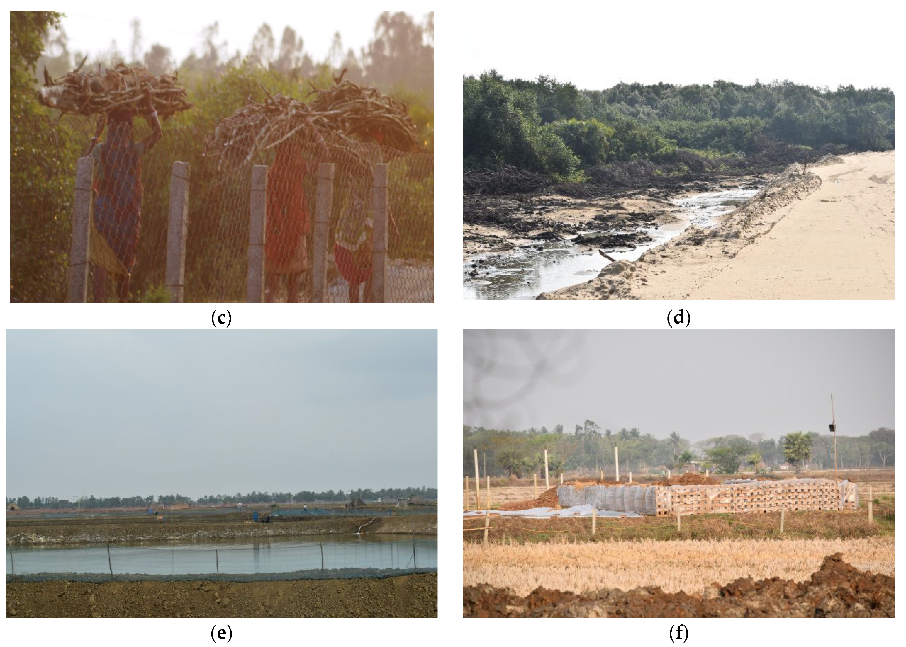 Sustainability 15 00963 g002b