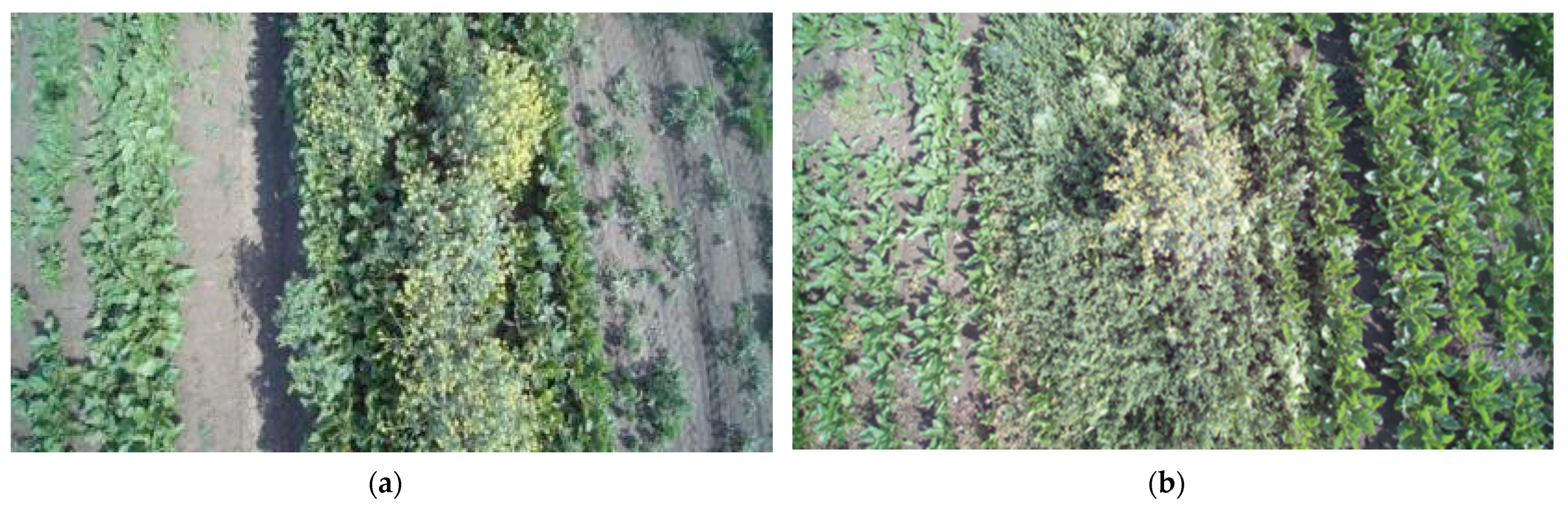 Sustainability 15 00998 g005