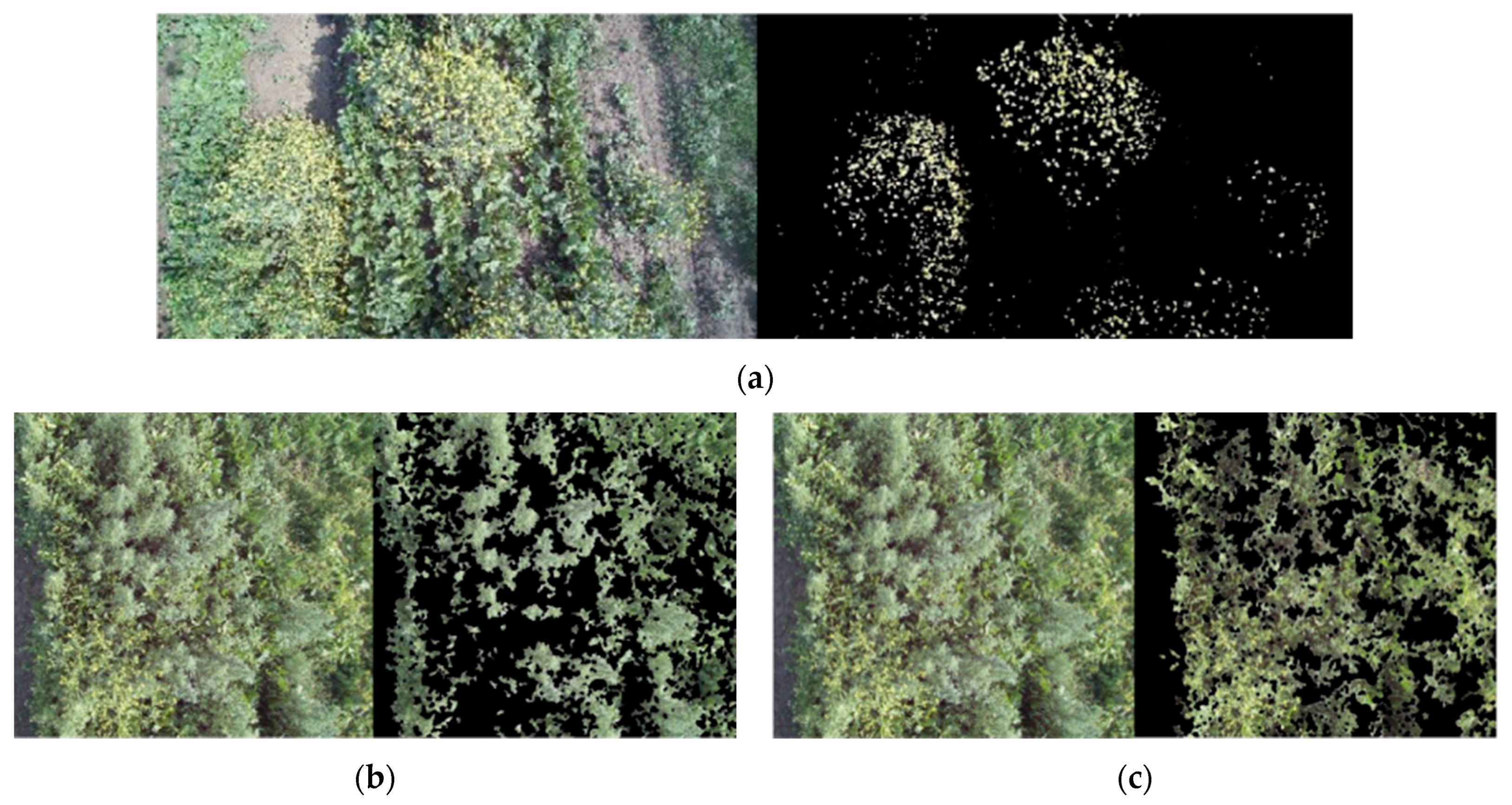 Sustainability 15 00998 g007