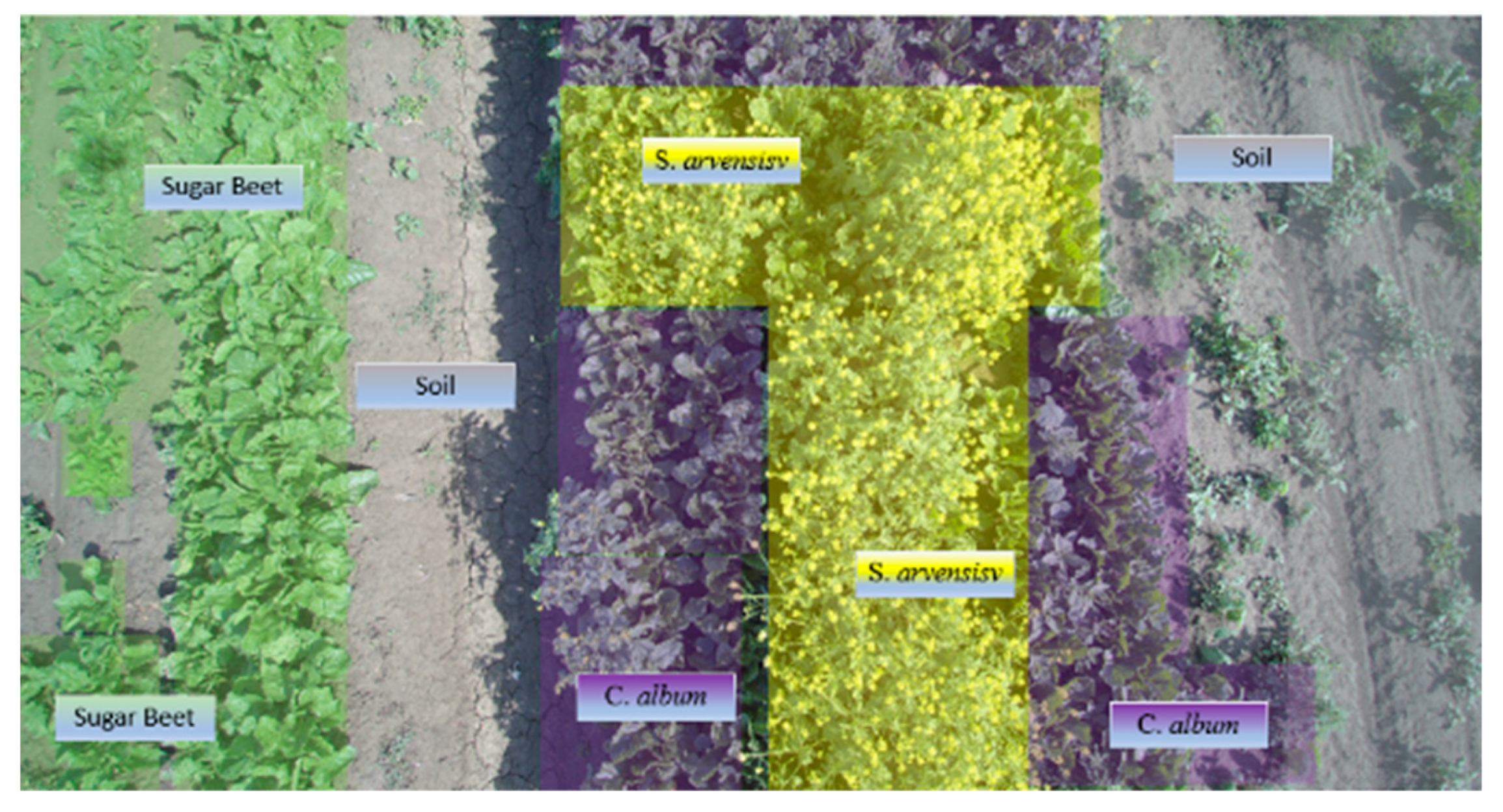 Sustainability 15 00998 g008