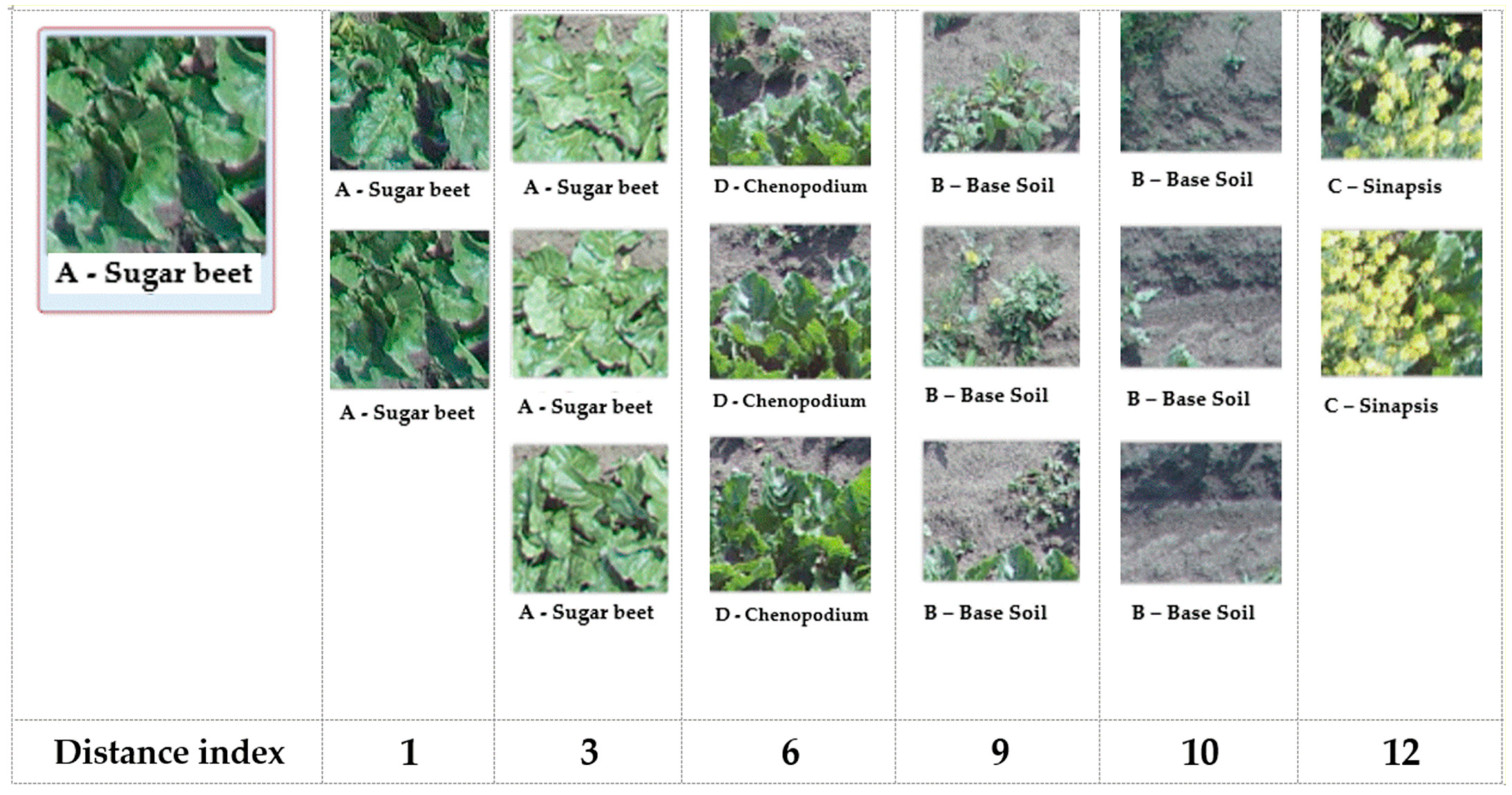 Sustainability 15 00998 g012