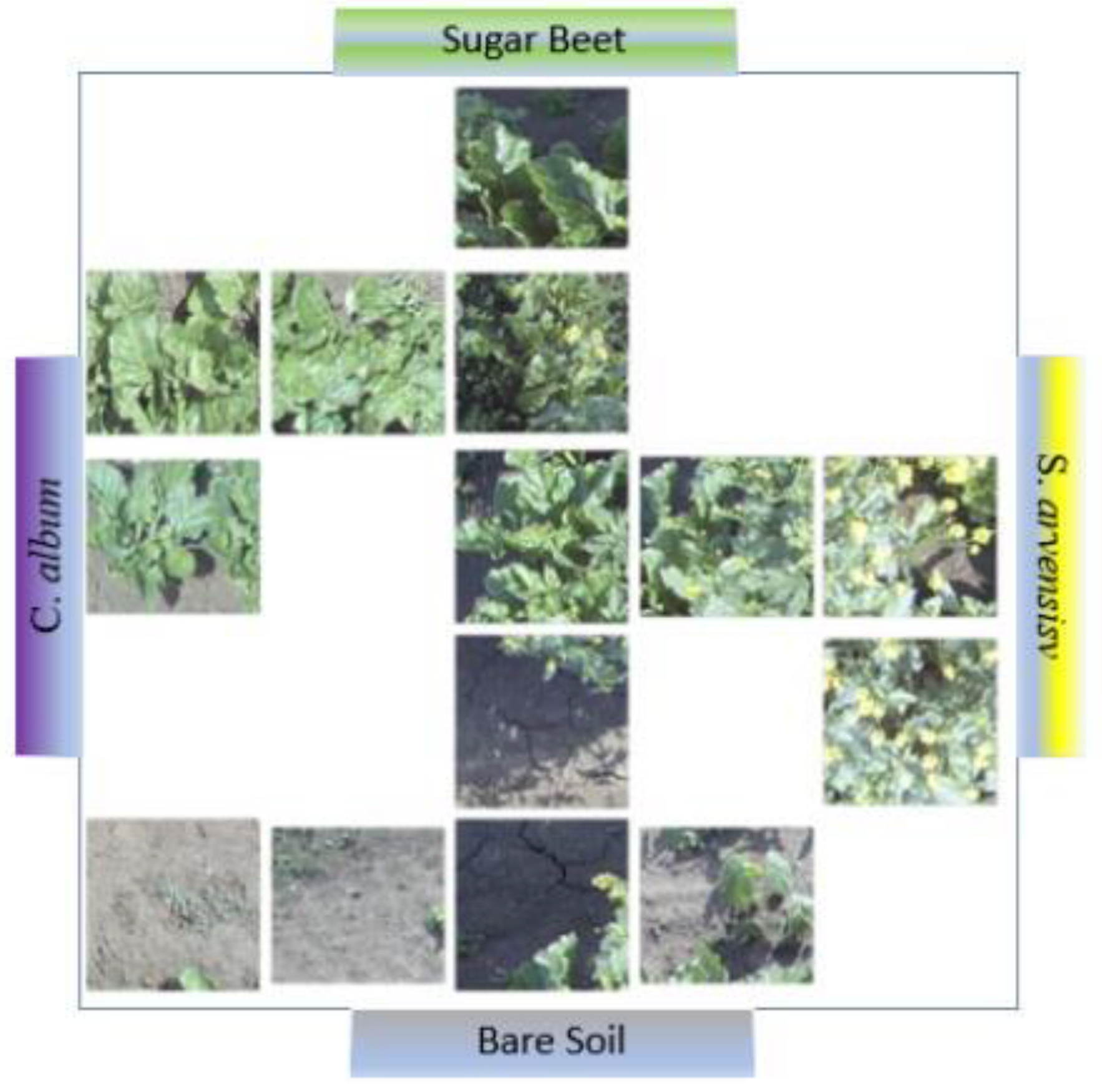 Sustainability 15 00998 g014