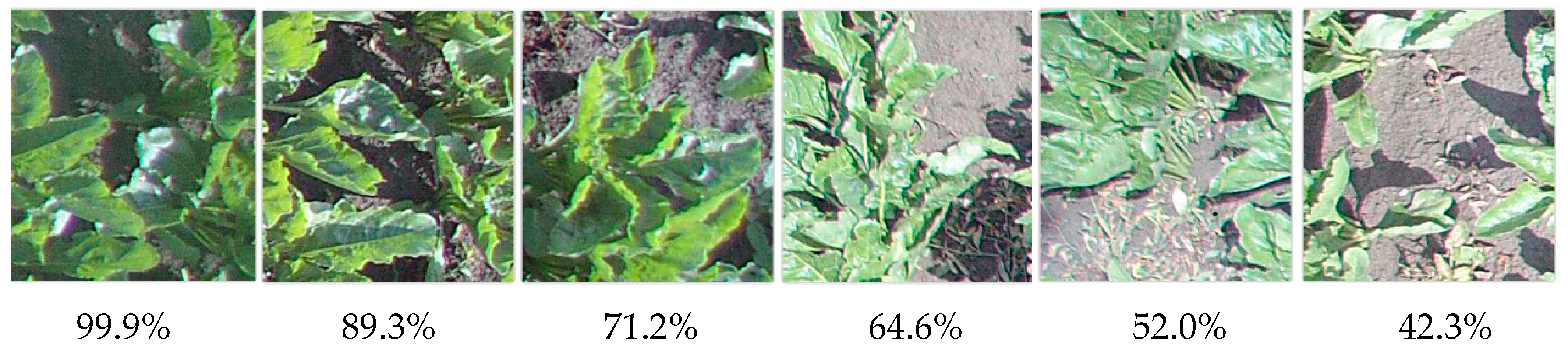 Sustainability 15 00998 g017