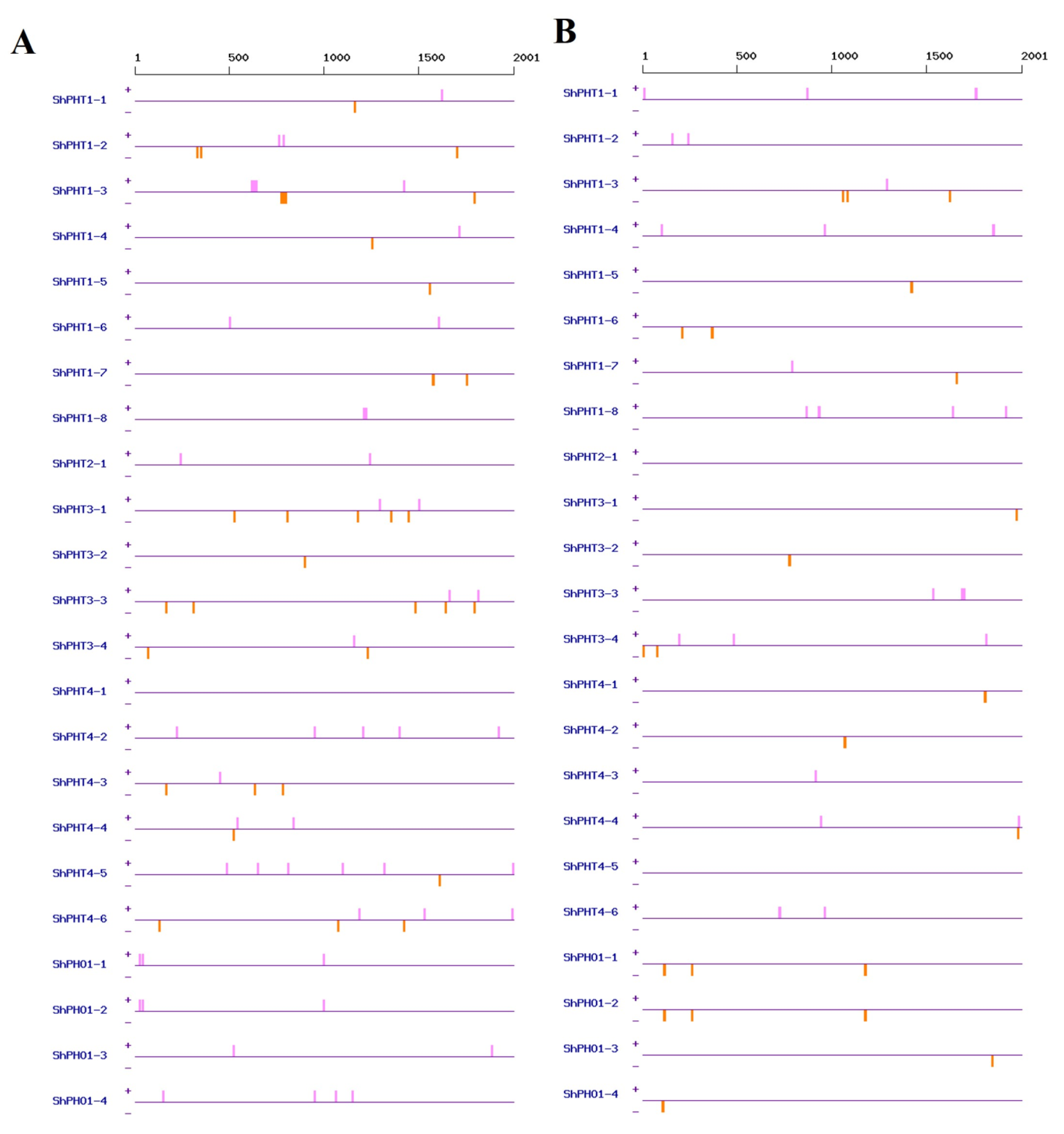Sustainability 15 01048 g007