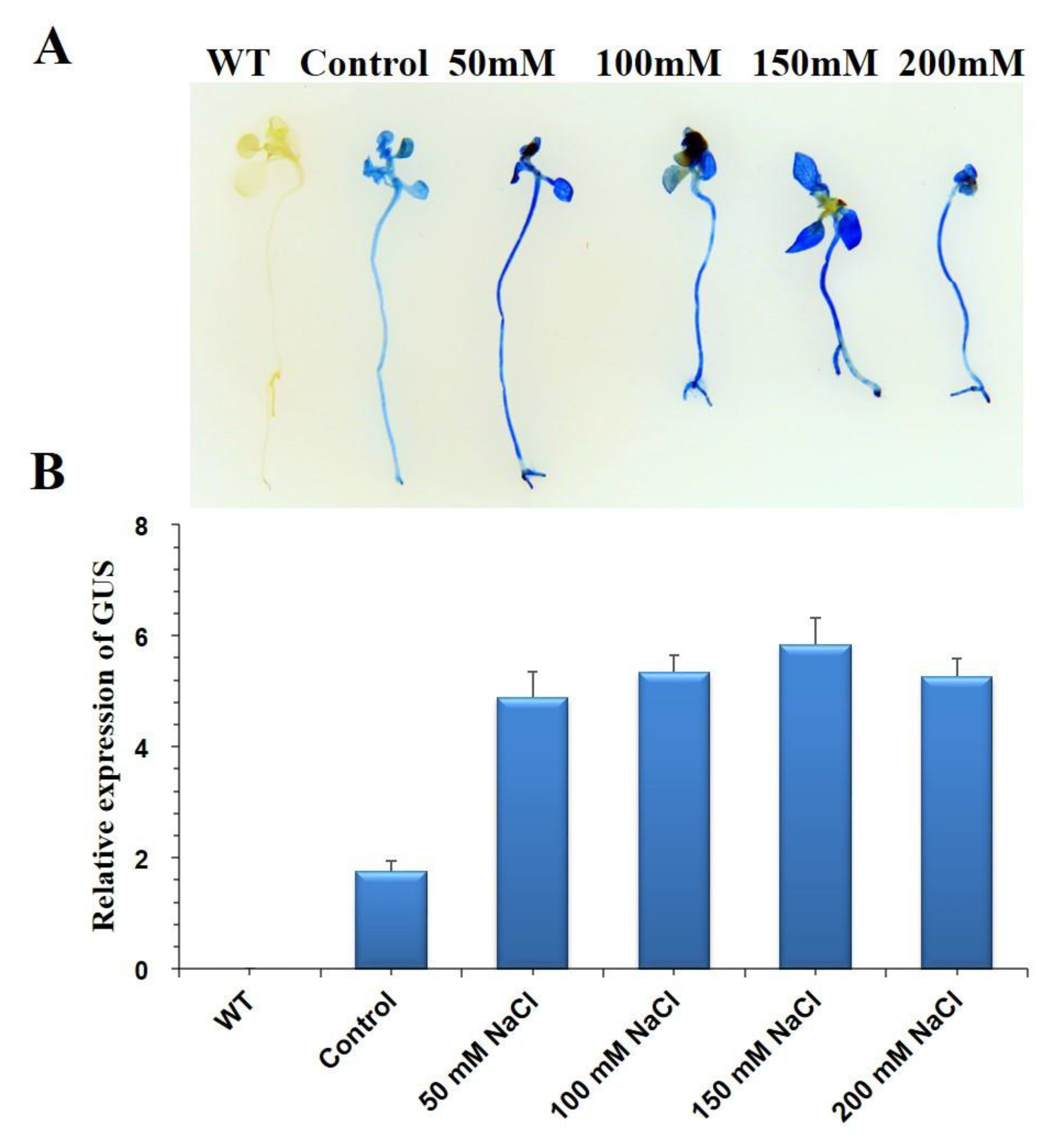 Sustainability 15 01048 g008