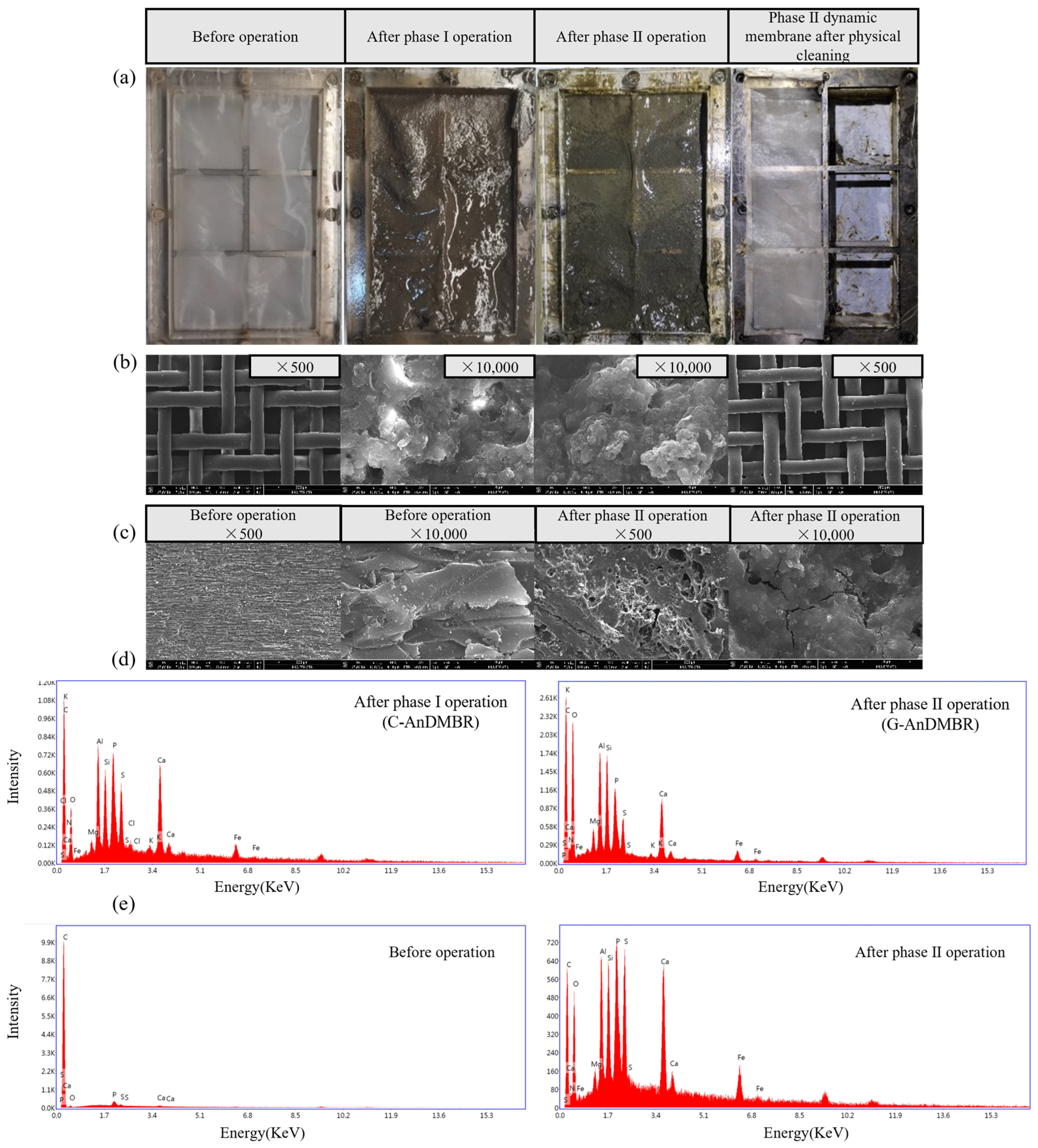 Sustainability 15 01055 g004