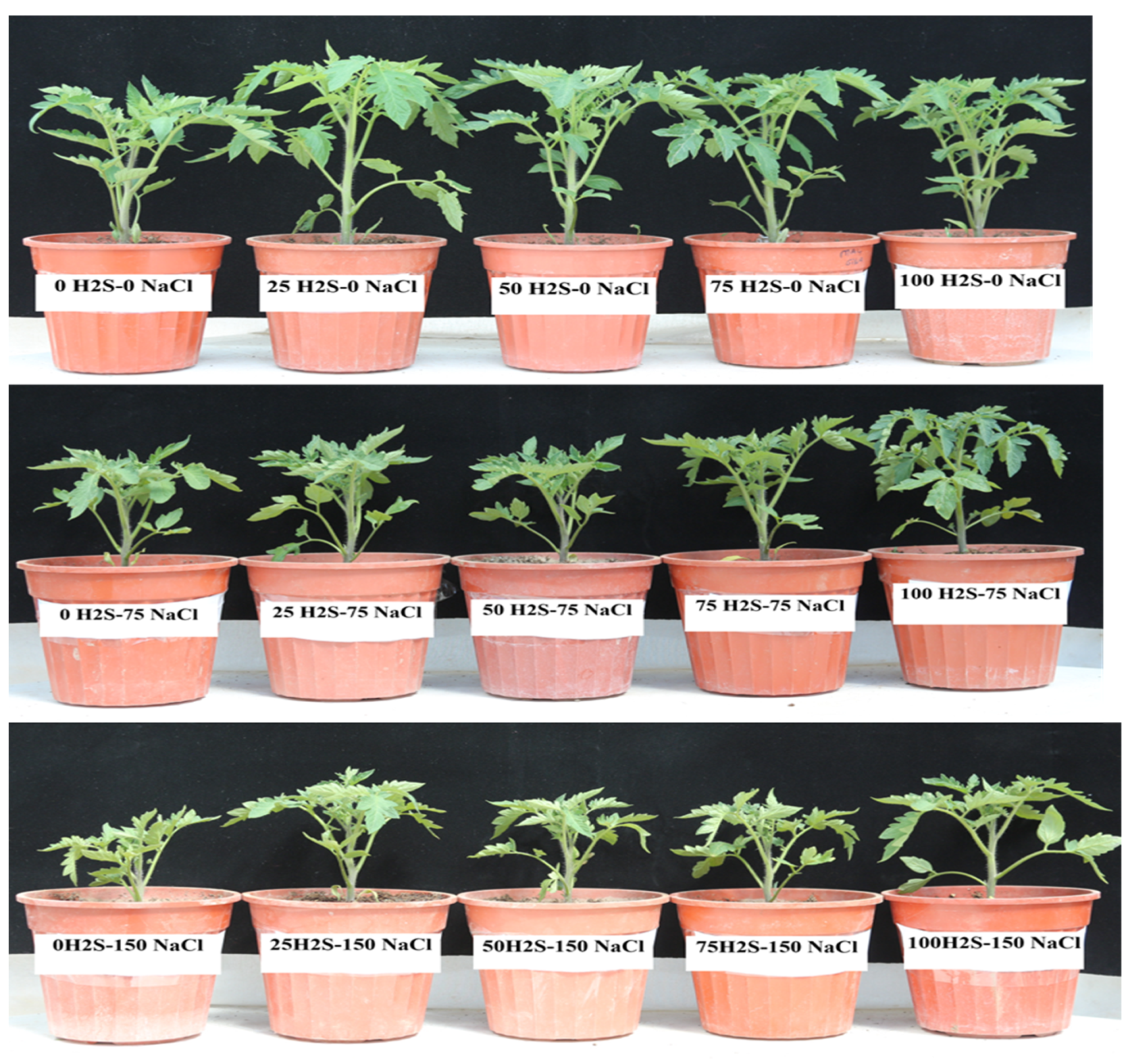 Sustainability 15 01098 g001