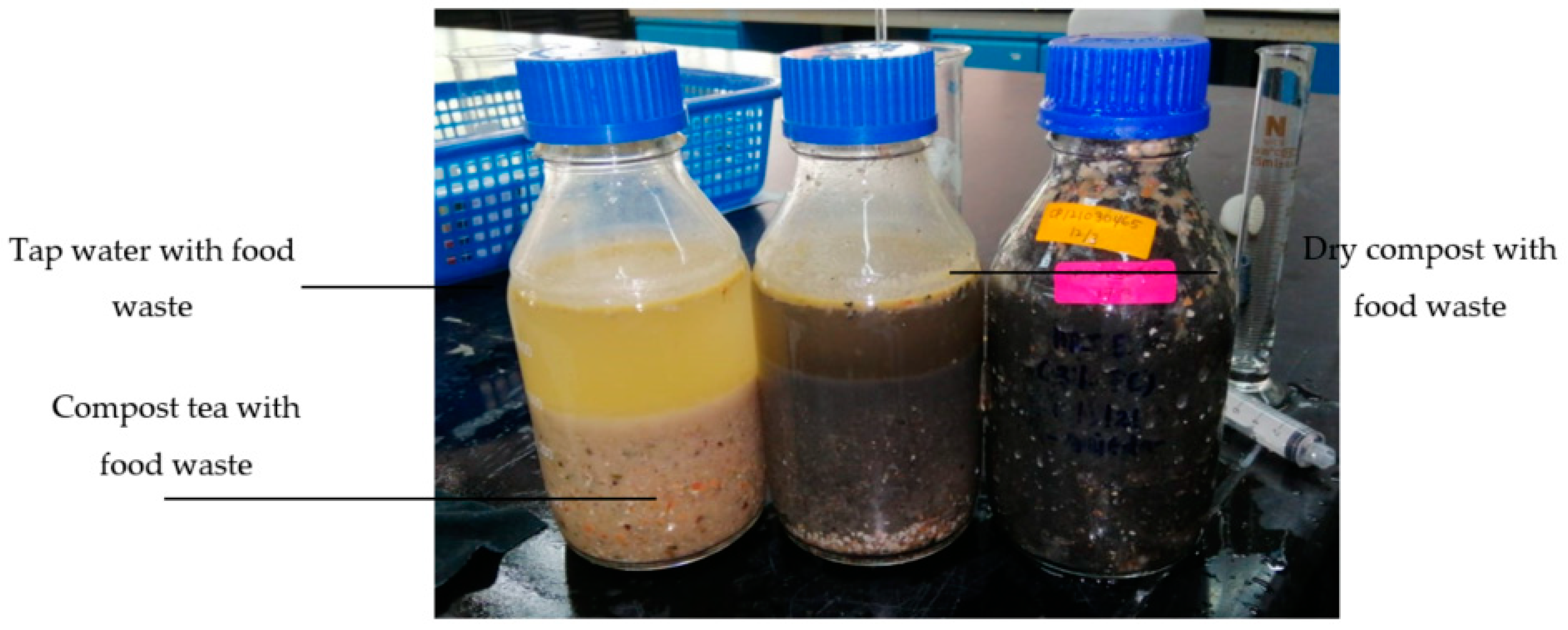 Sustainability 15 01185 g001