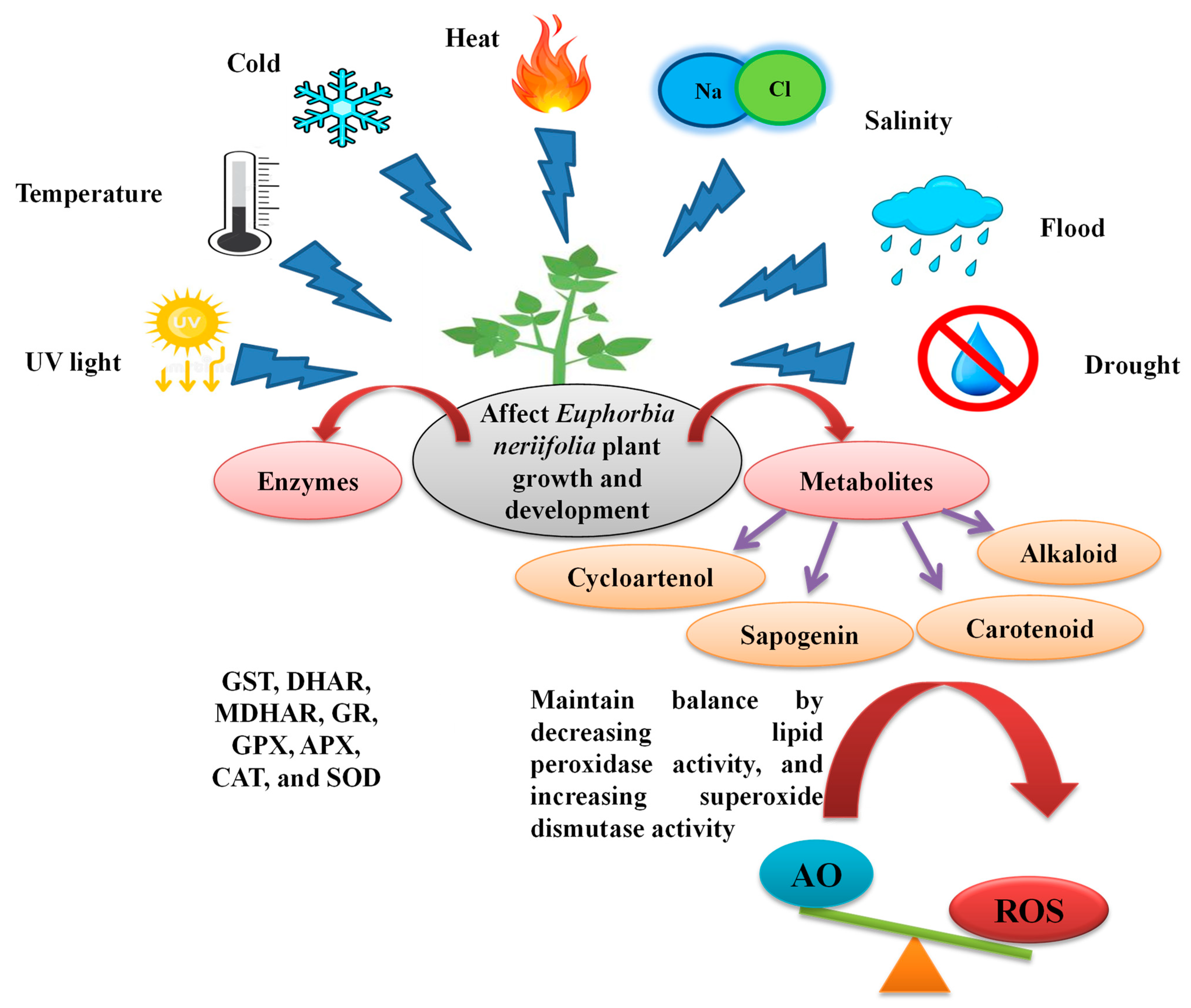 Sustainability 15 01225 g002