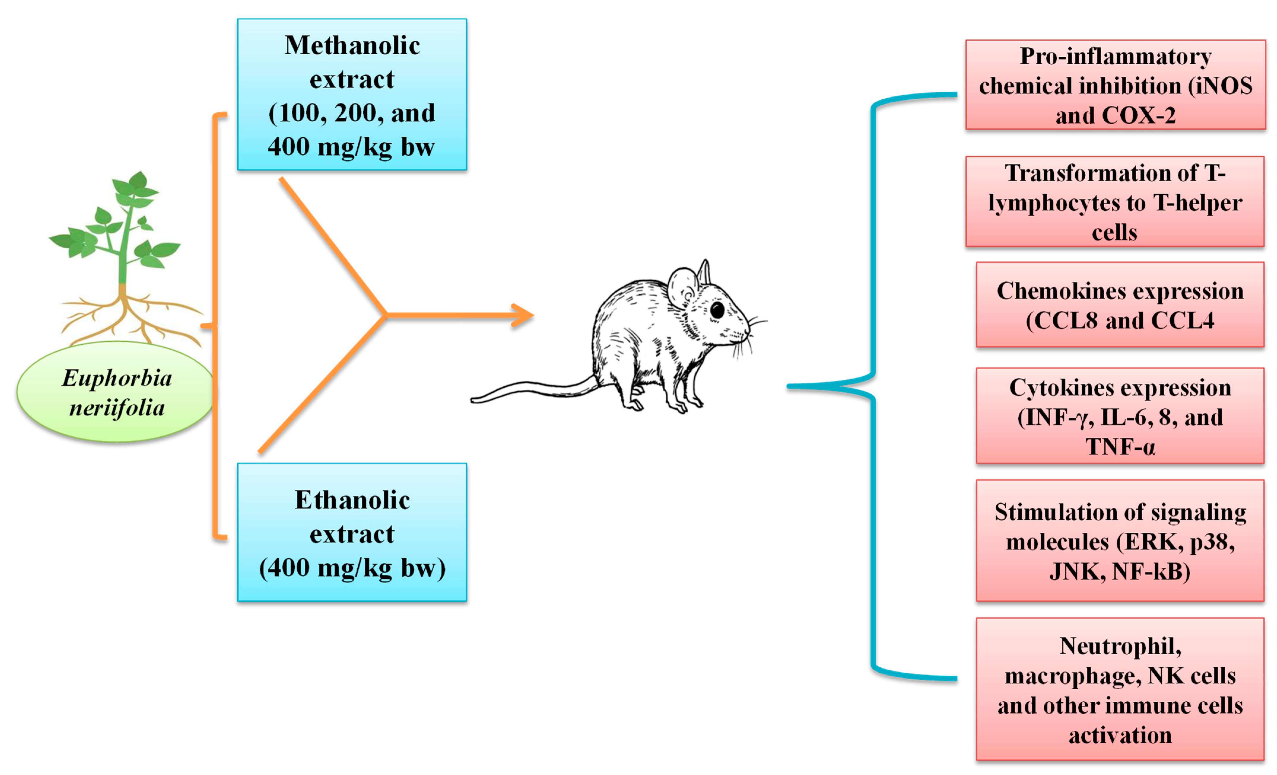 Sustainability 15 01225 g003