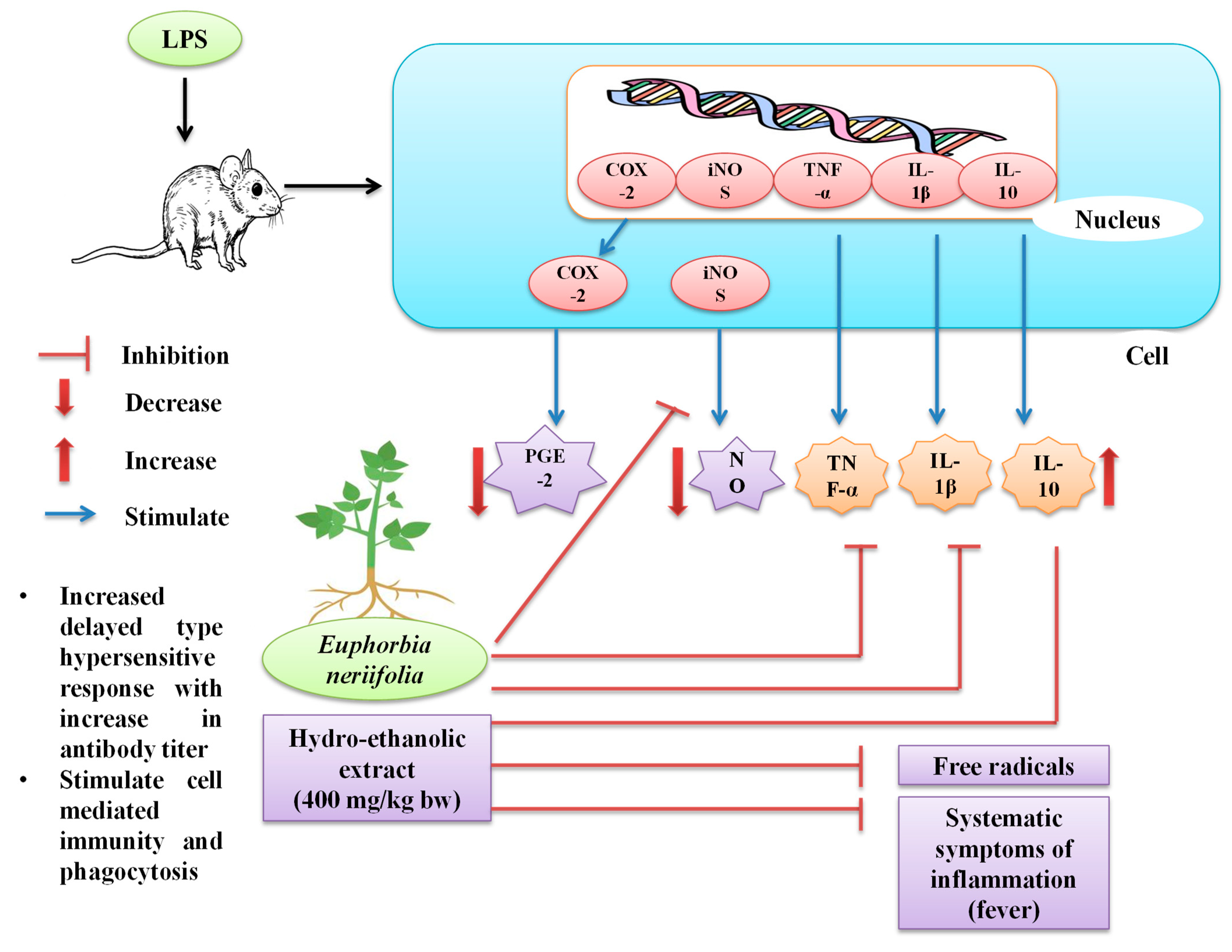 Sustainability 15 01225 g004