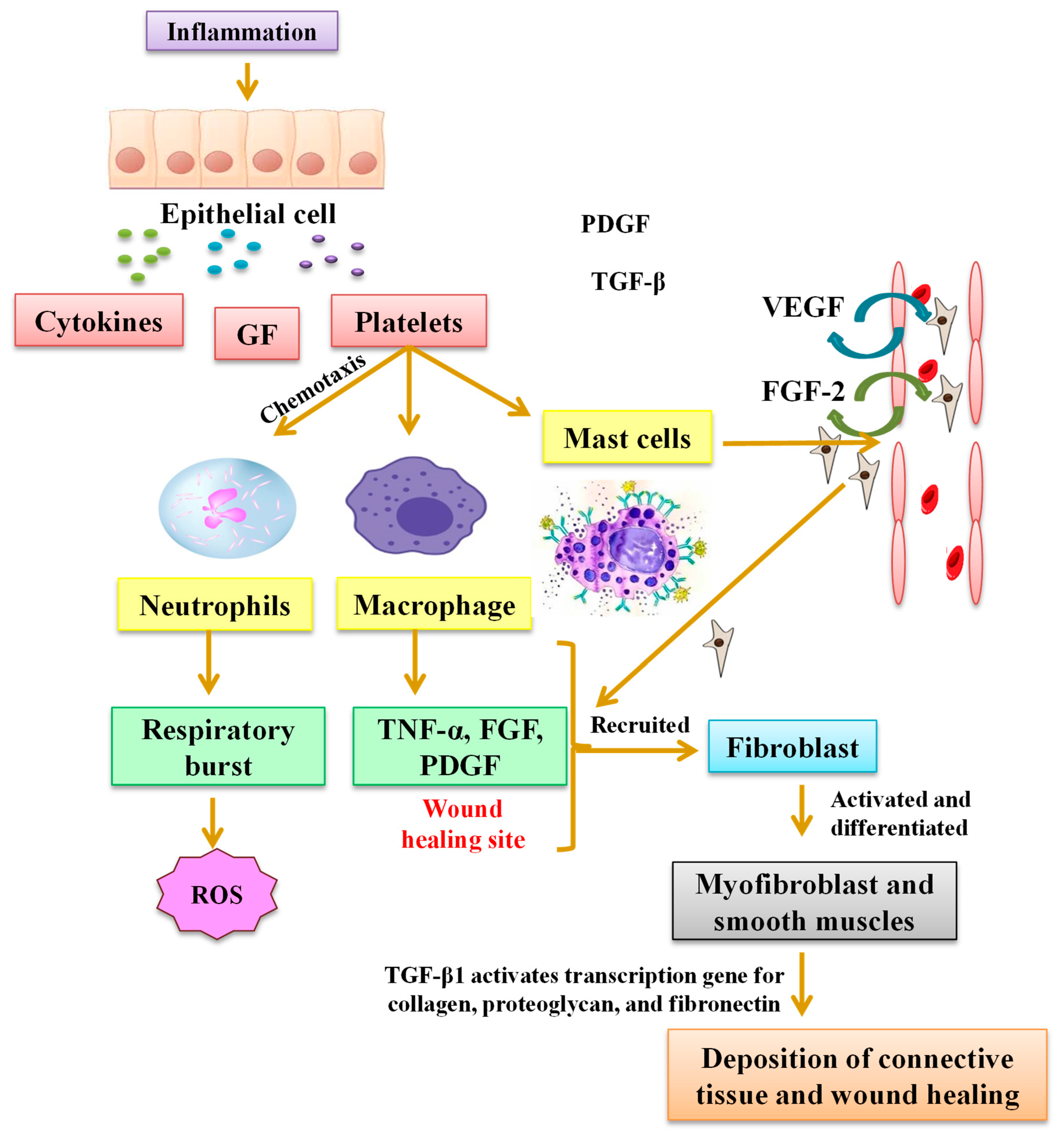Sustainability 15 01225 g006