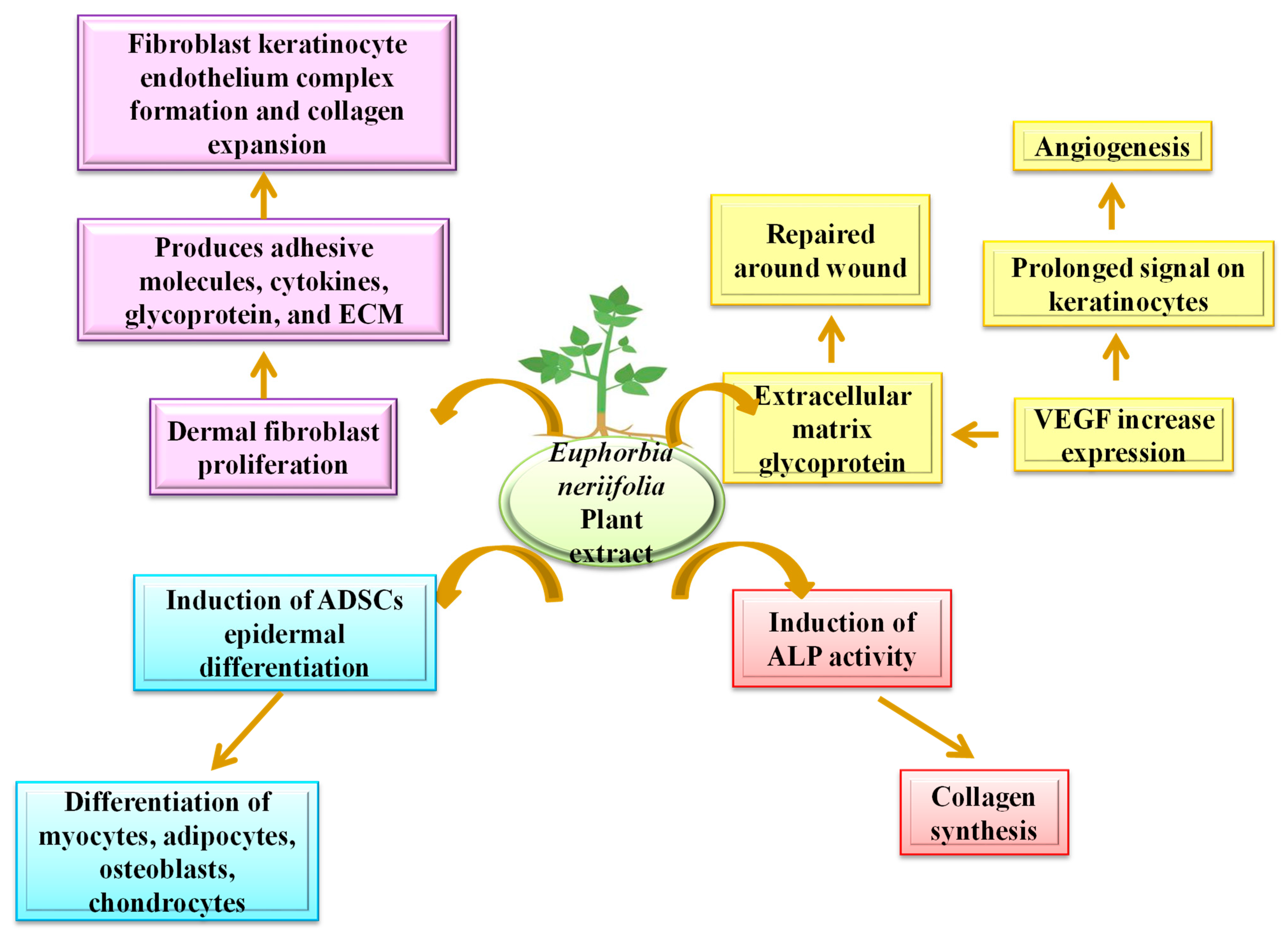 Sustainability 15 01225 g007